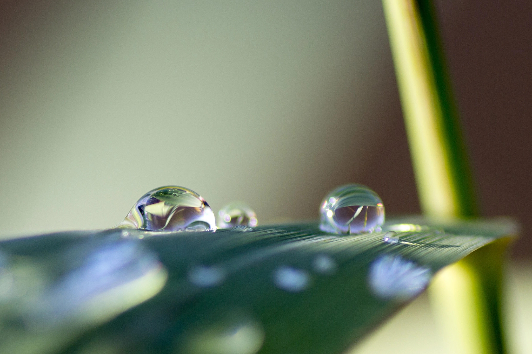 Canon EOS 60D + Tamron SP AF 90mm F2.8 Di Macro sample photo. Morgens am main in würzburg photography