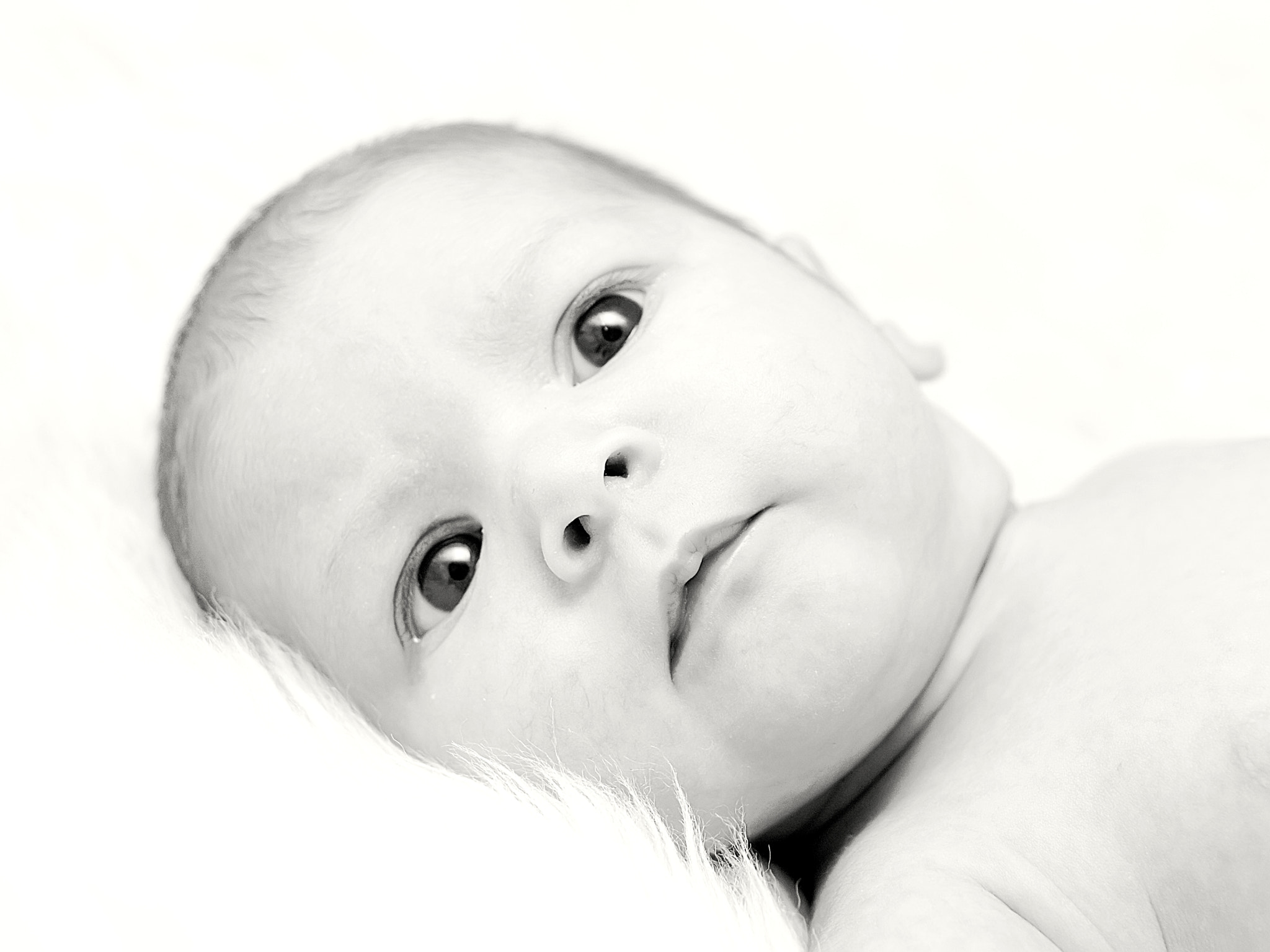 Olympus Zuiko Digital ED 12-60mm F2.8-4.0 SWD sample photo. New born photography