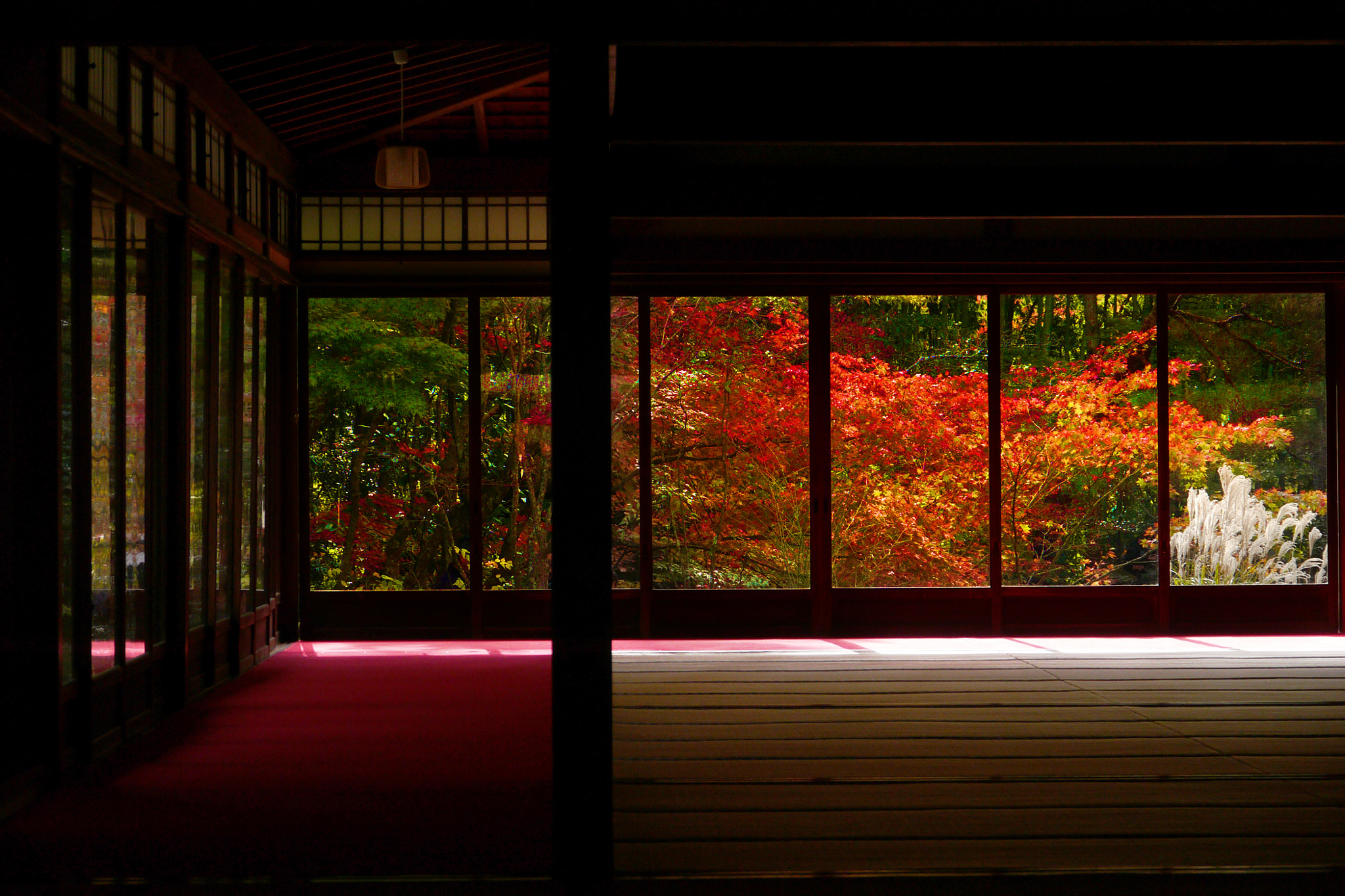 Panasonic Lumix DMC-GX1 sample photo. Autumn color in kyoto photography
