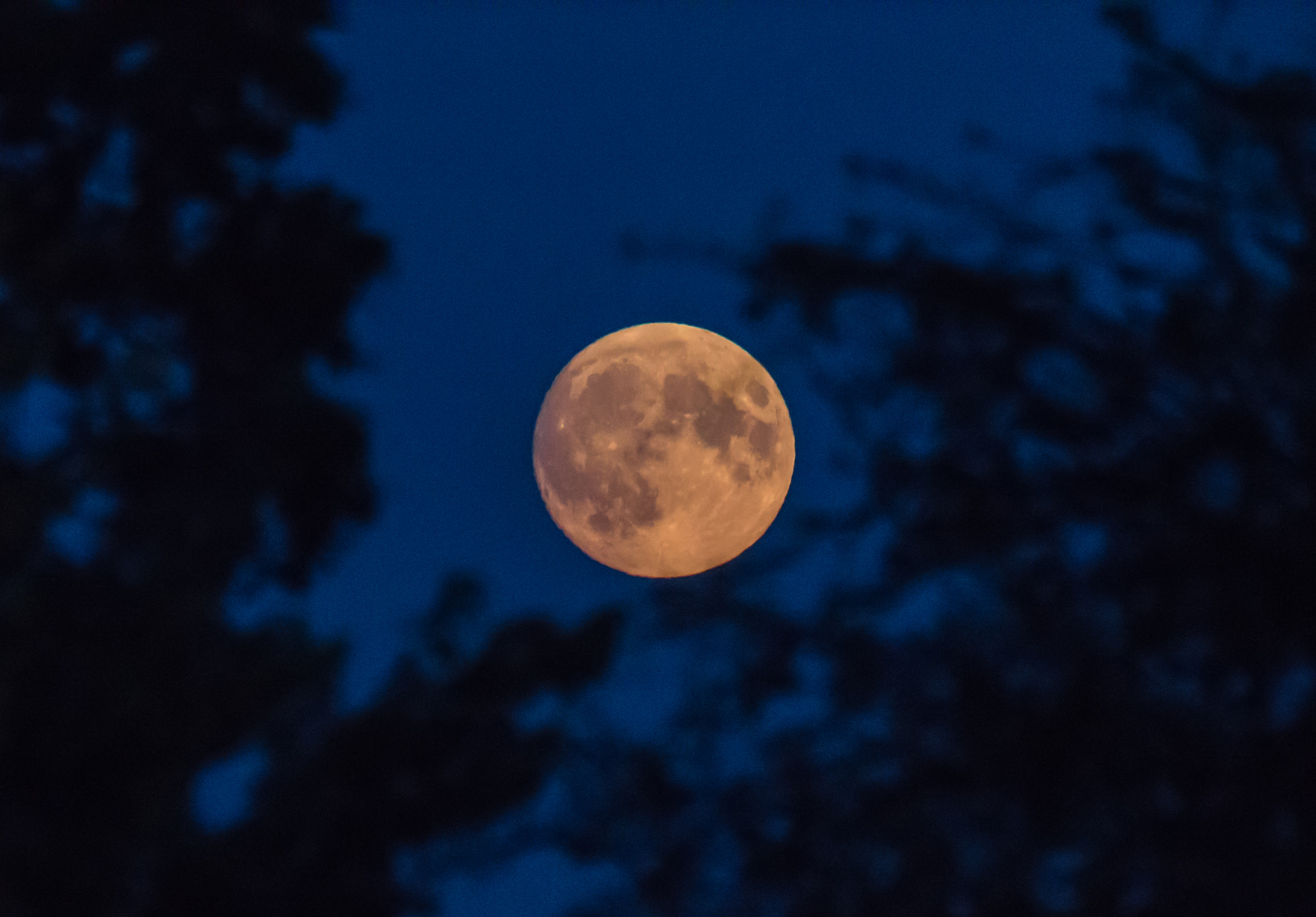 Canon EF 100-400mm F4.5-5.6L IS USM sample photo. Supermoon rise photography