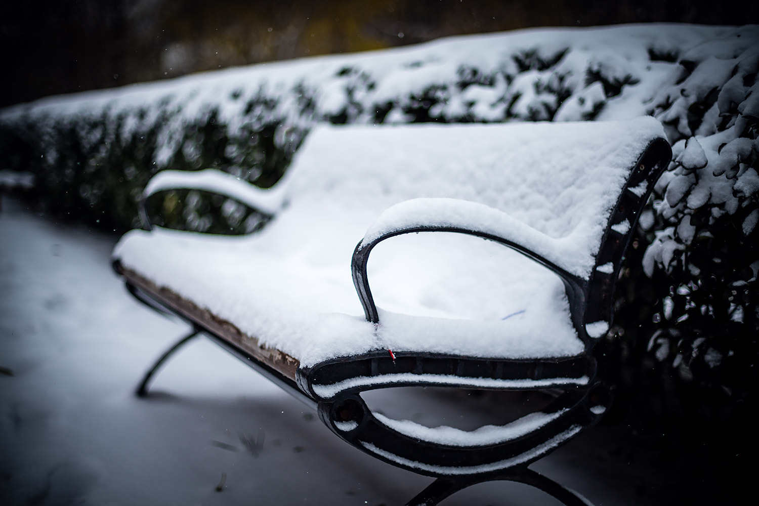 Canon EOS 5DS + Canon EF 50mm F1.4 USM sample photo. Winter comes_1.jpg photography