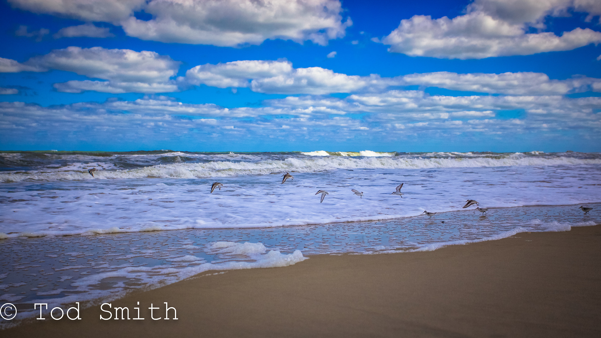 Canon EF 17-40mm F4L USM sample photo. Outer banks, nc photography