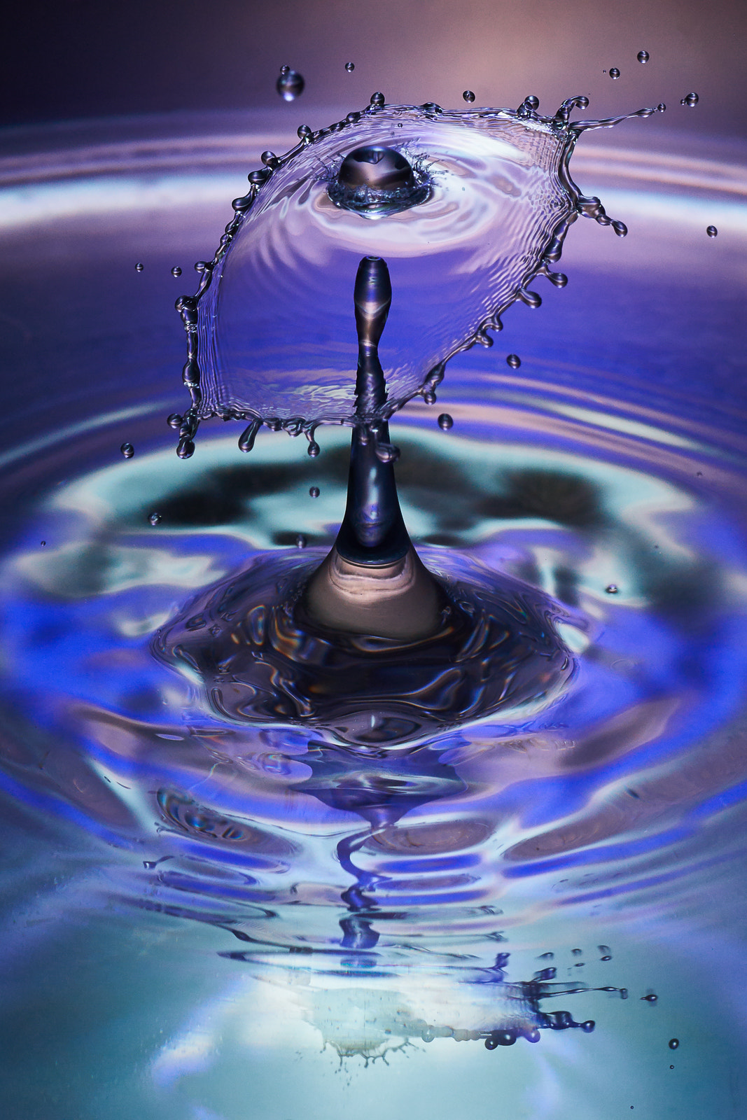 90mm F2.8 sample photo. Collide x photography