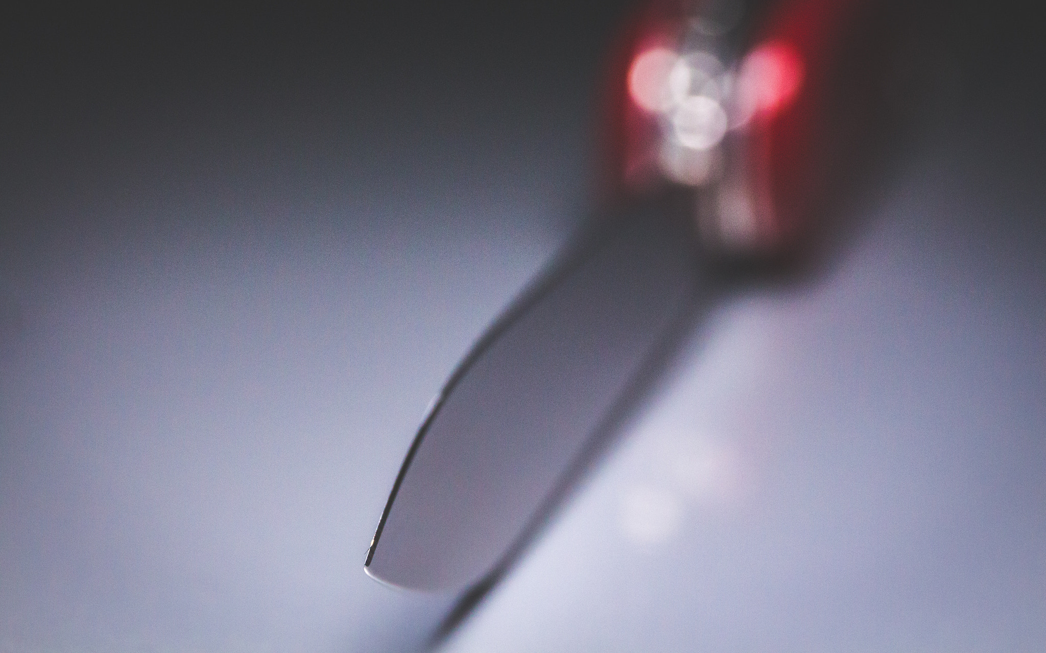 Canon EF 24-70mm F4L IS USM sample photo. Splitting hairs photography