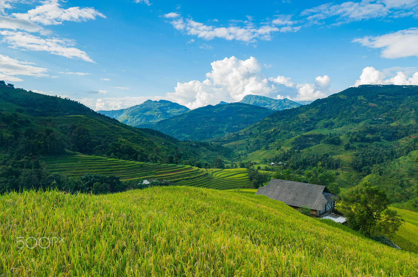Elmarit-S 30 sample photo. Ha giang - viet nam photography