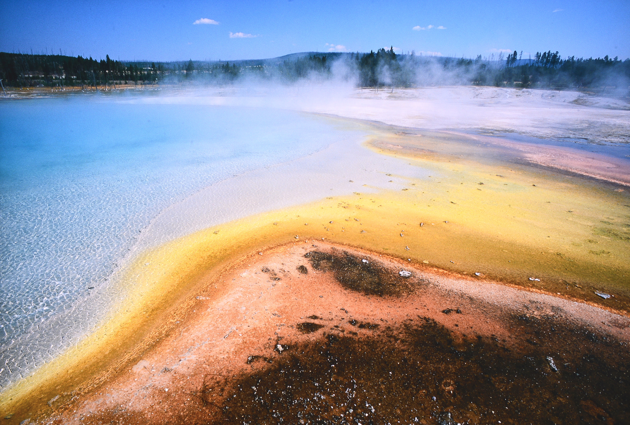 Nikon D800 + AF Micro-Nikkor 105mm f/2.8 sample photo. Yellowstone photography