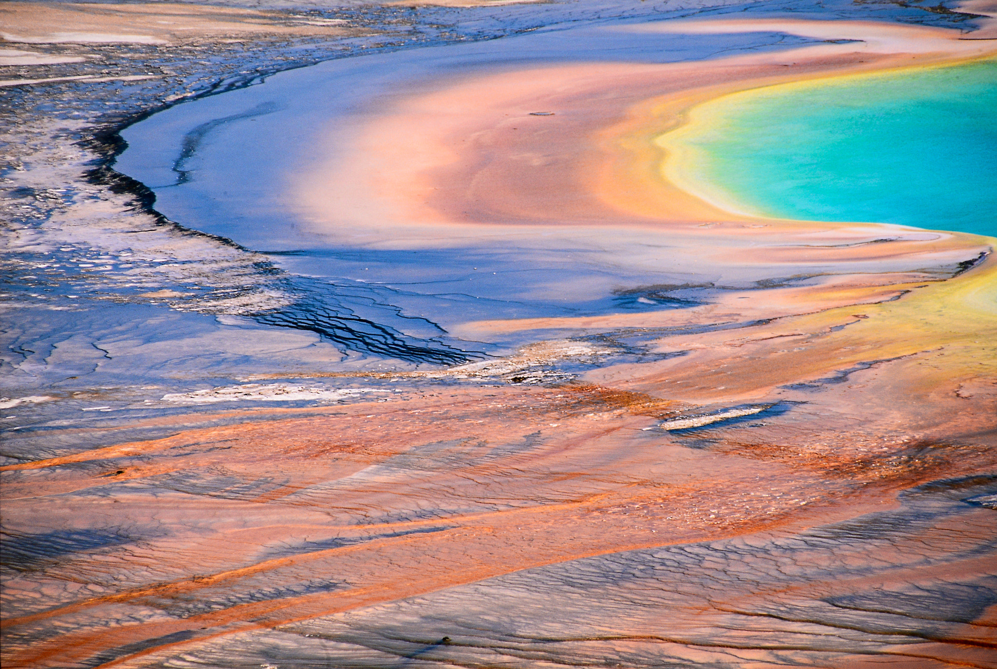 Nikon D800 + AF Micro-Nikkor 105mm f/2.8 sample photo. Yellowstone photography