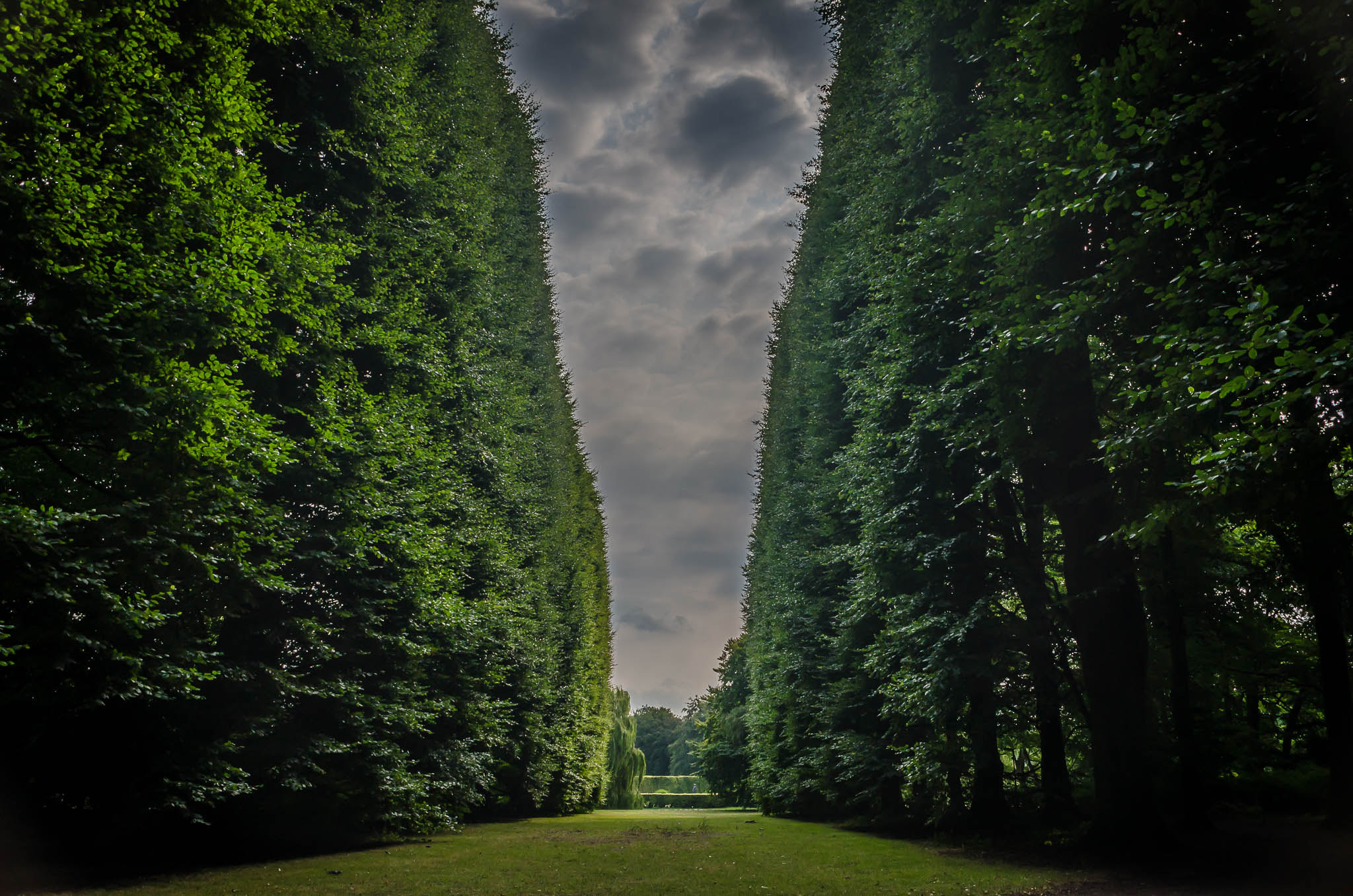 Nikon D5100 + Sigma 18-200mm F3.5-6.3 DC sample photo. A park in malmö, sweden photography