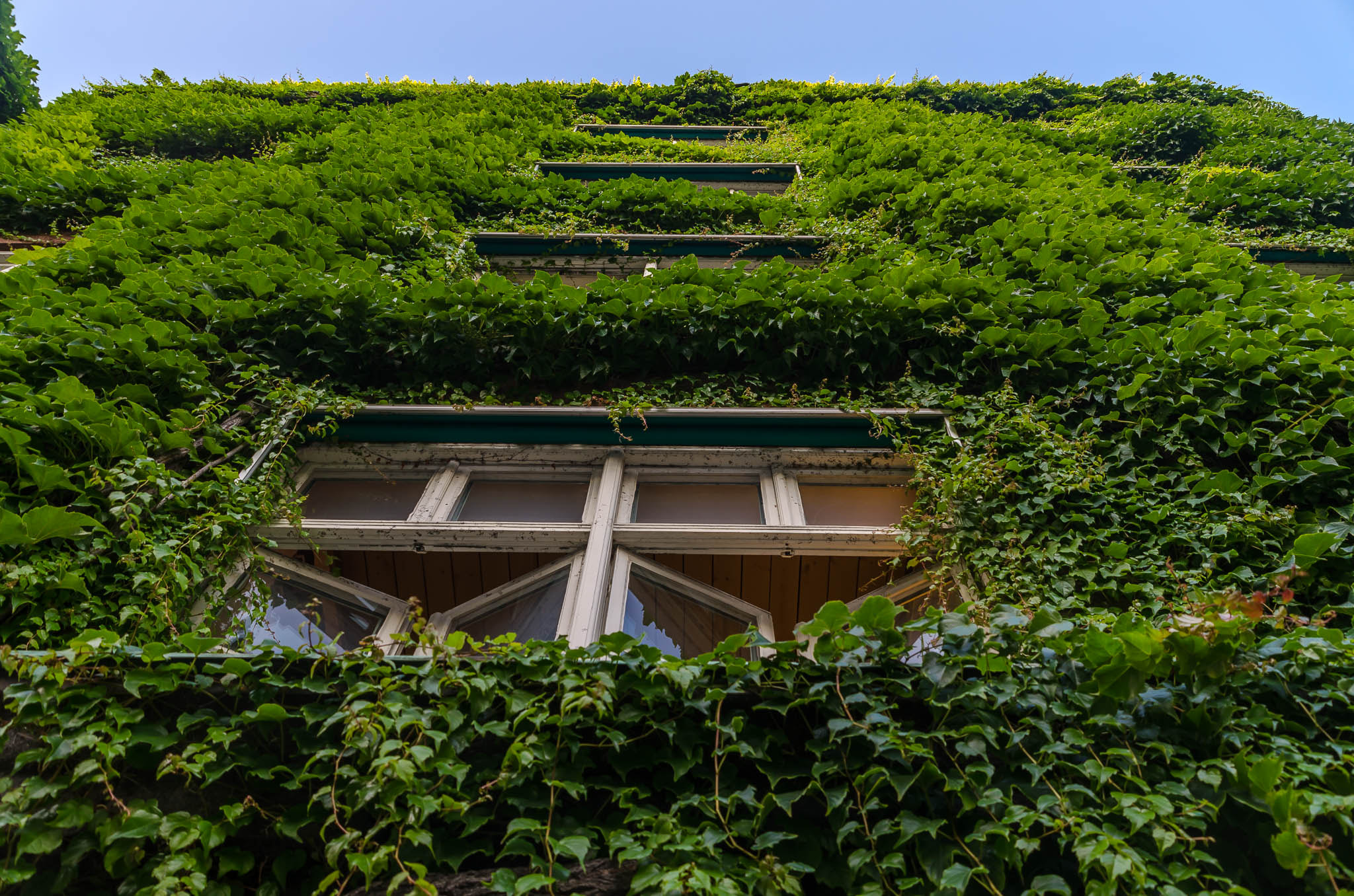 Nikon D5100 + Sigma 18-200mm F3.5-6.3 DC sample photo. Green wall in malmö photography
