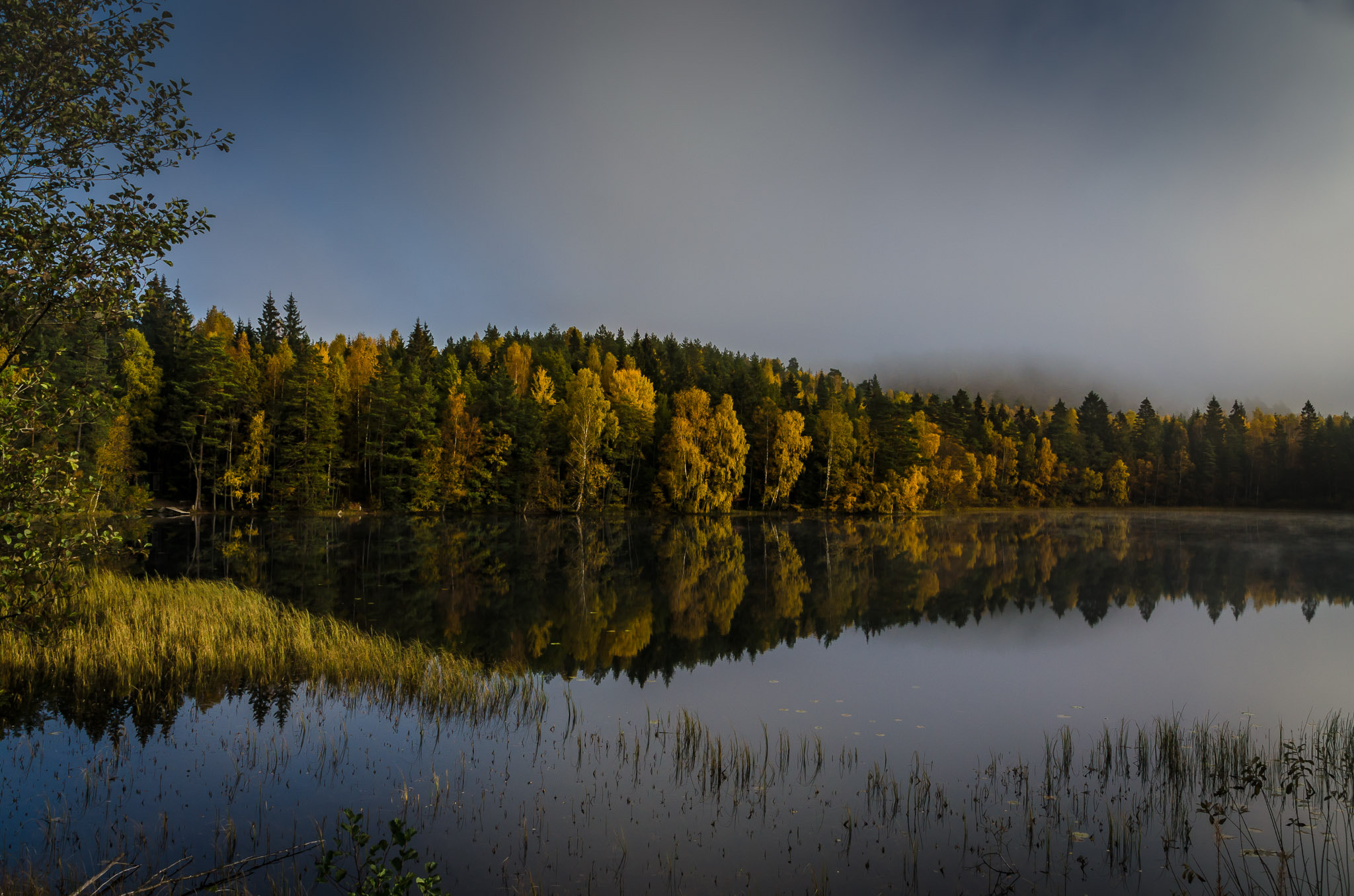 Nikon D5100 + Sigma 18-200mm F3.5-6.3 DC sample photo. Autumn in sweden photography
