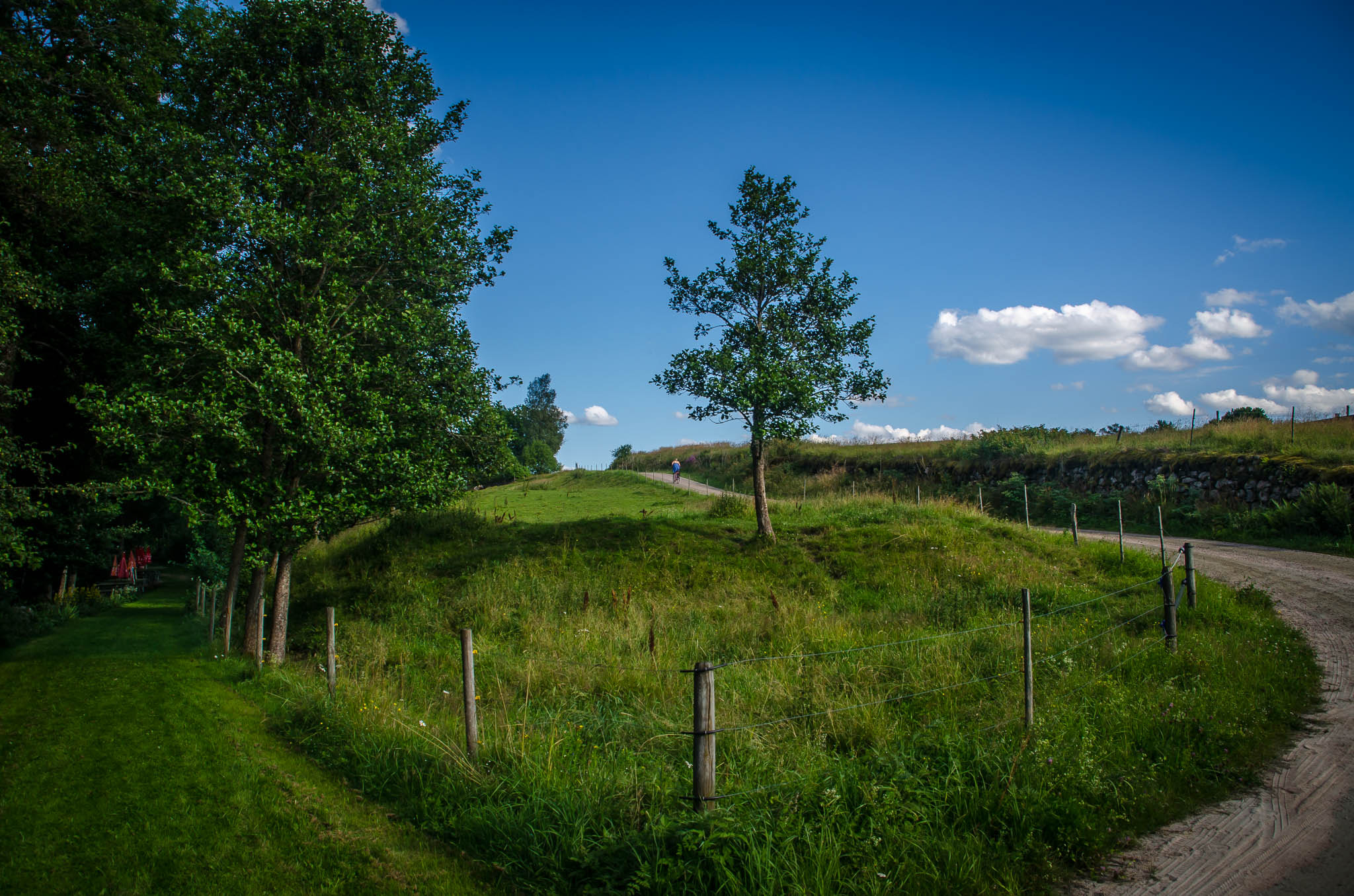 Nikon D5100 + Sigma 18-200mm F3.5-6.3 DC sample photo. Vänga kvarn photography