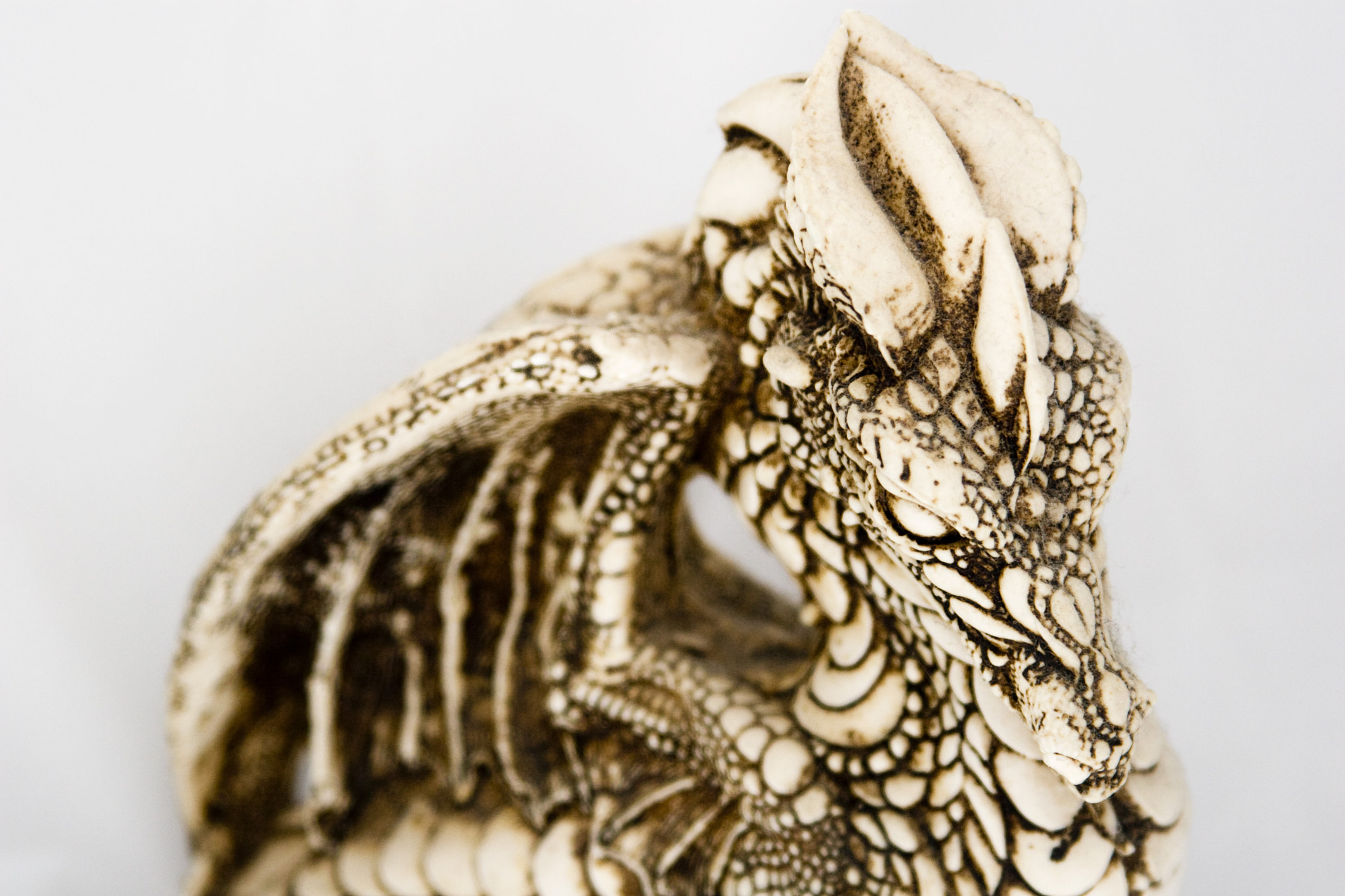 Canon EF 28-105mm f/3.5-4.5 USM sample photo. Dragon photography