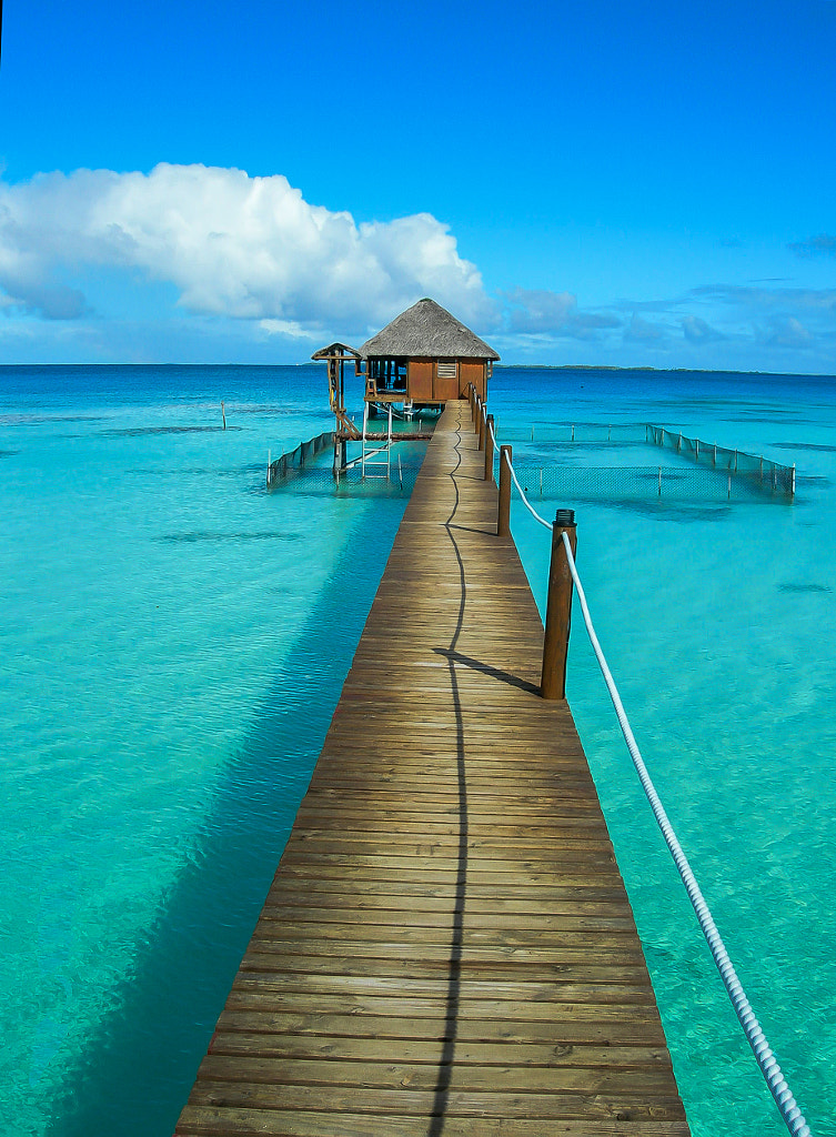 Polynesian resort by Antonio Palmieri / 500px