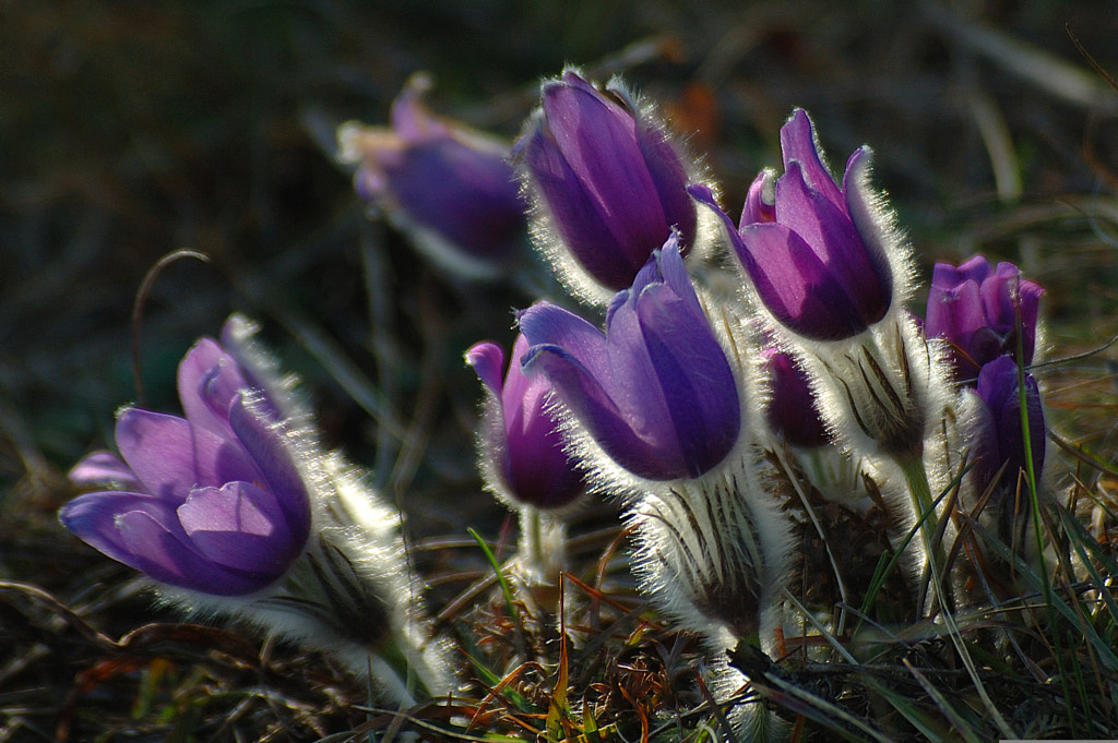 Temel Fotoğrafçılık Bilgileri 