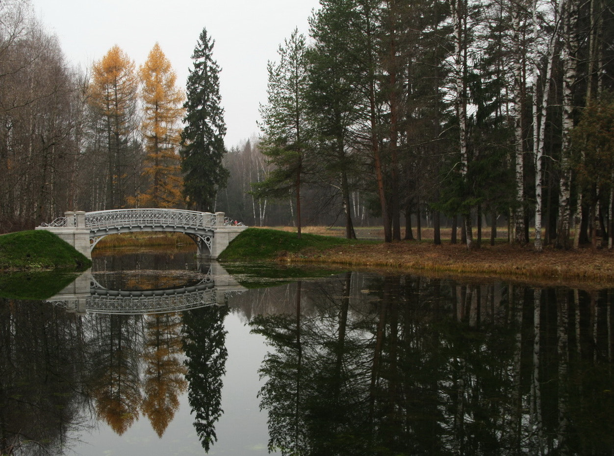 Sigma 18-125mm F3.8-5.6 DC OS HSM sample photo. Autumn. reflection. photography