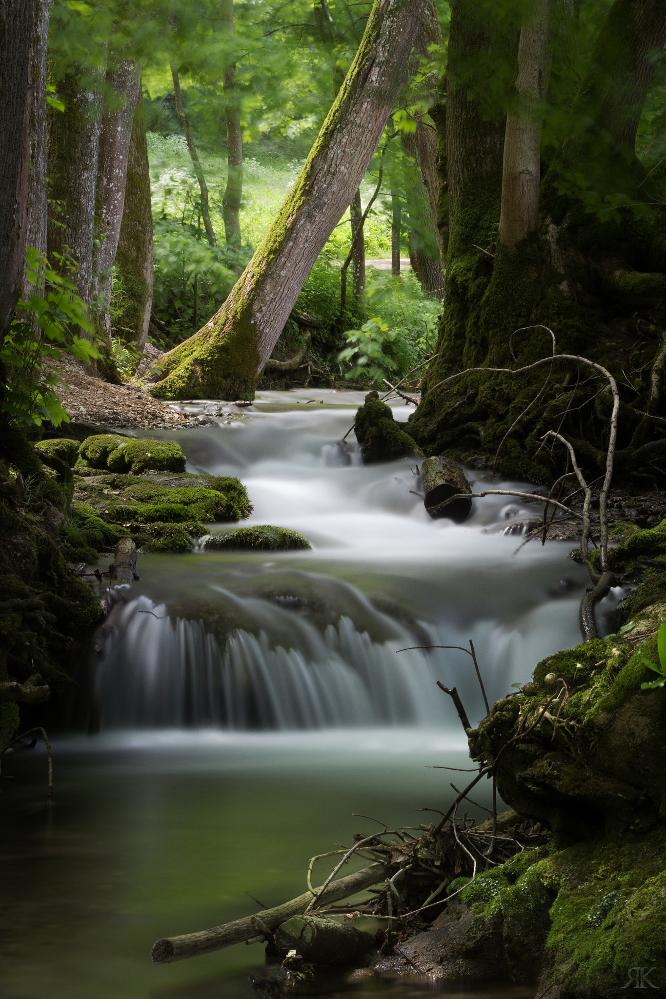 Canon EF 70-200mm F2.8L IS II USM sample photo. Floating stream photography