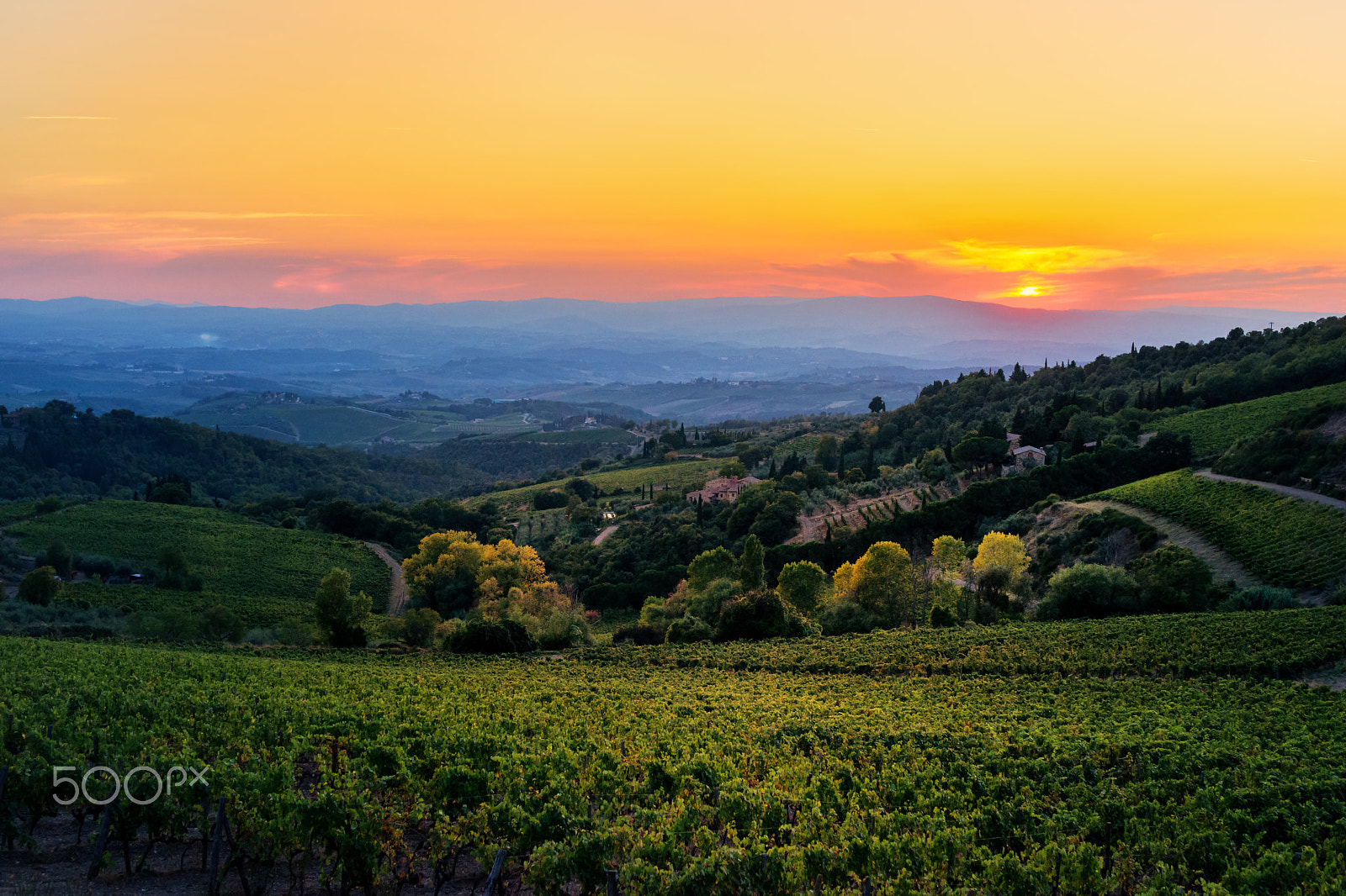 Sigma 50mm F1.4 EX DG HSM sample photo. Sunset in chianty,tuscany, italy photography