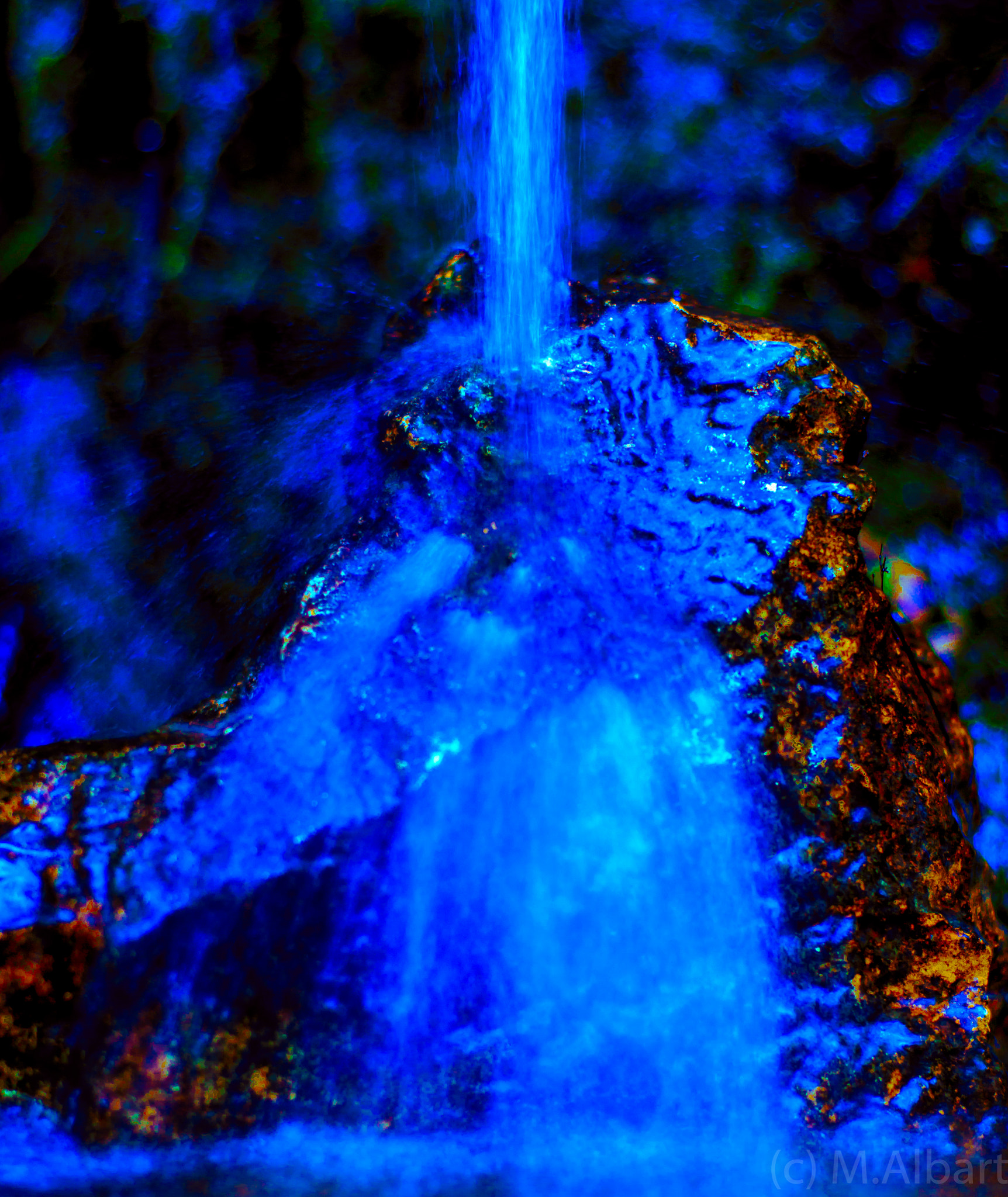 ZEISS Planar T* 50mm F1.4 sample photo. Botanischer garten photography