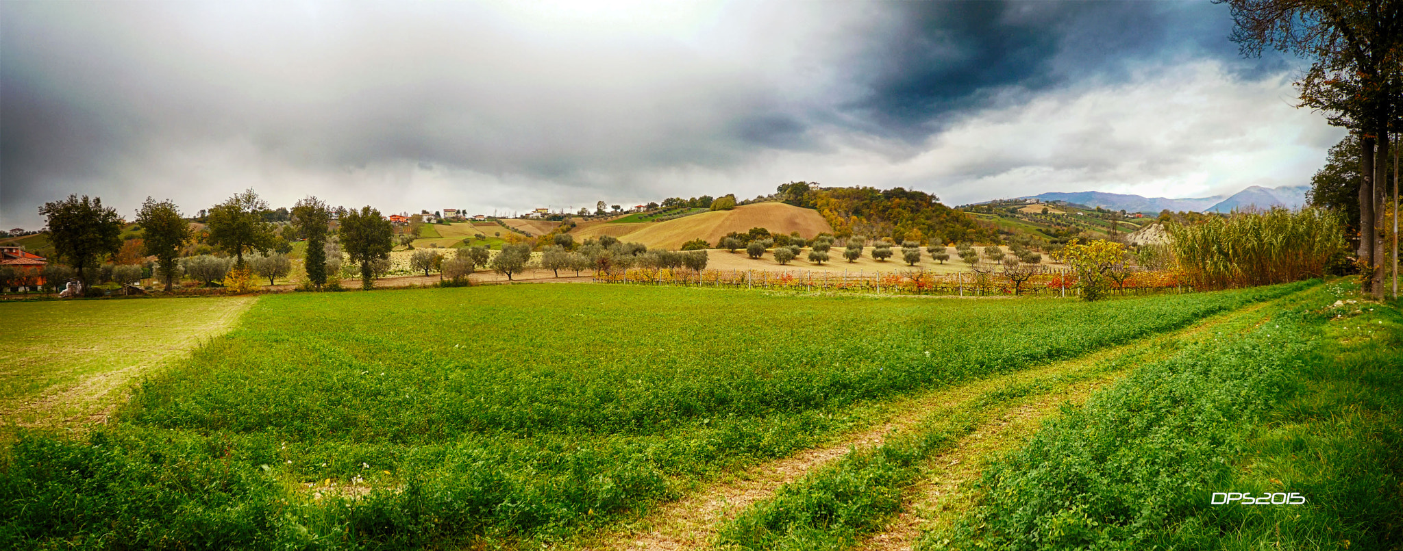Panasonic DMC-FX100 sample photo. L'autunno dalle mie parti.... photography