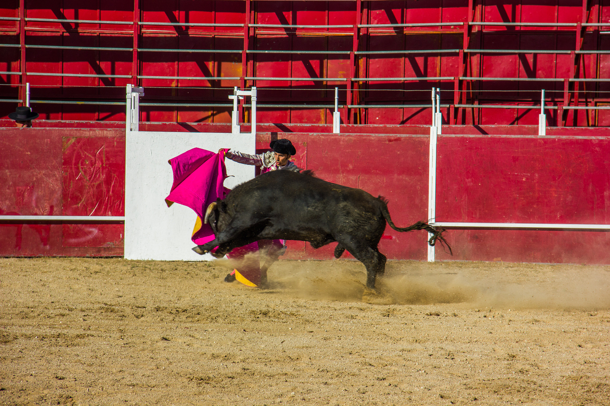 Sigma 18-125mm F3.8-5.6 DC OS HSM sample photo. Torero photography