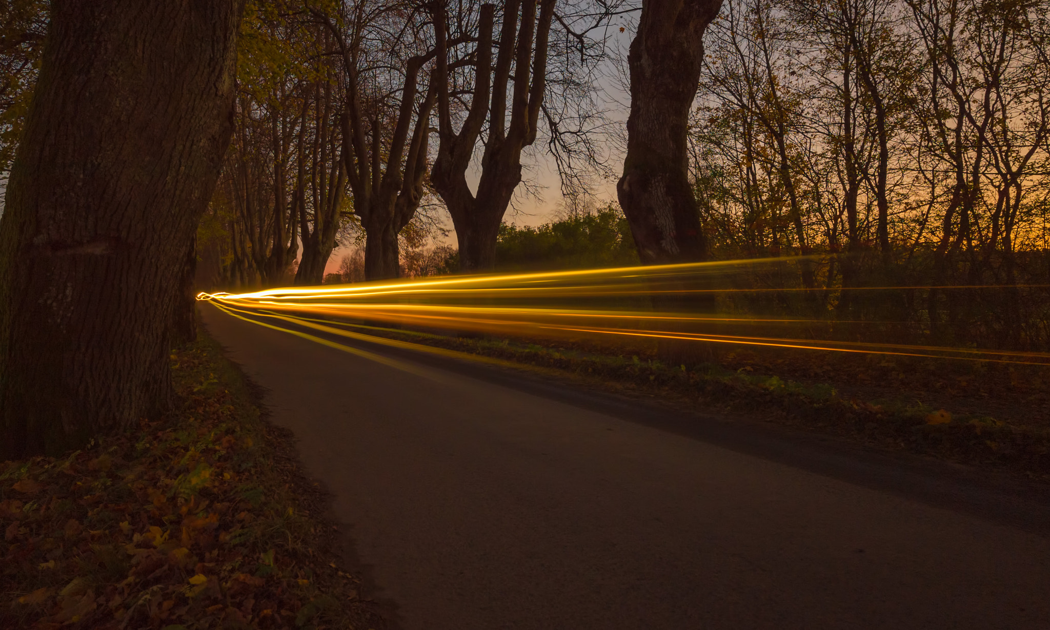 Nikon D4S sample photo. Autumn drive ii photography