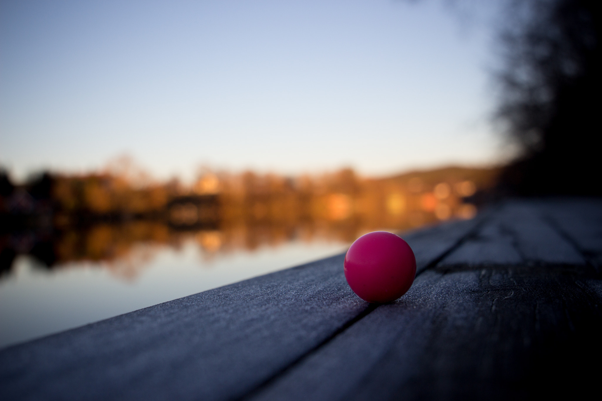 Canon EF 24-105mm F3.5-5.6 IS STM sample photo. Pink ball photography