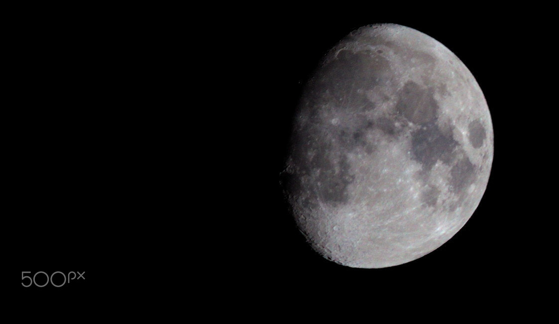 Canon EF 300mm F4L IS USM sample photo. Squeezedmoon photography