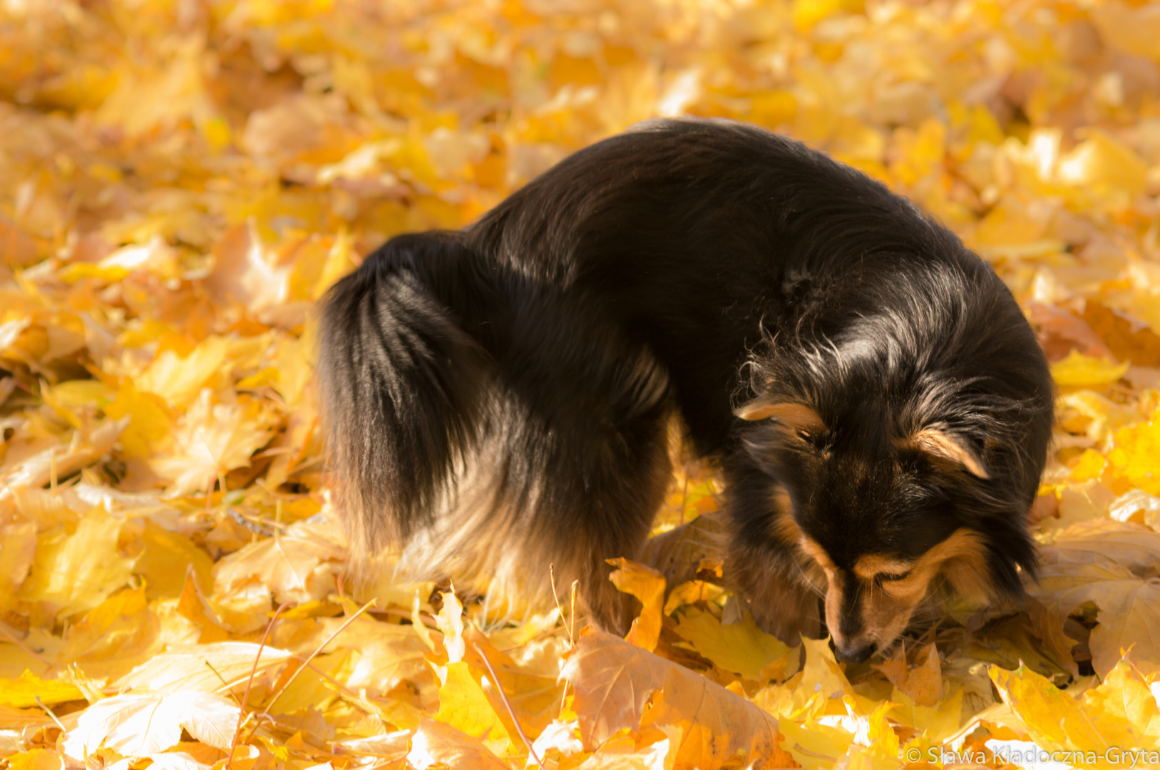 Nikon D7100 + AF Zoom-Nikkor 70-210mm f/4 sample photo. River photography