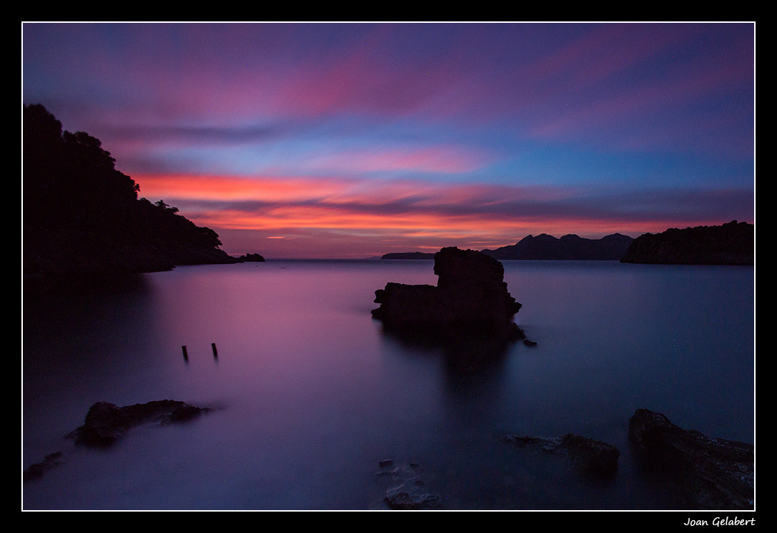 Nikon D800 + Nikon AF Nikkor 14mm F2.8D ED sample photo. 2015-11-21_07.19.09.jpg photography