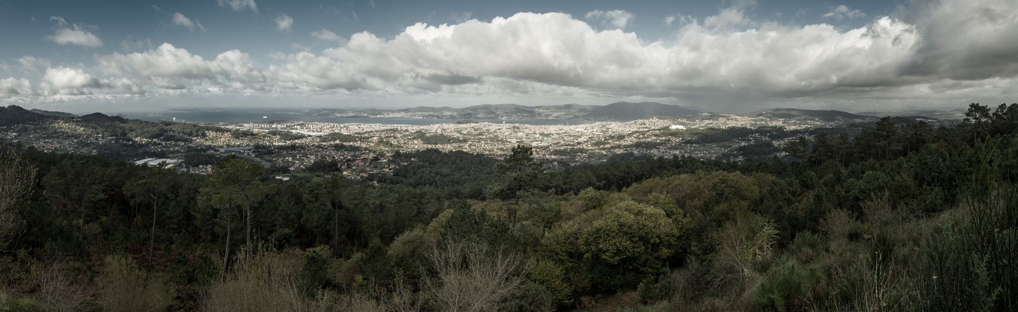 Sigma 19mm F2.8 DN Art sample photo. Olympus digital camera photography