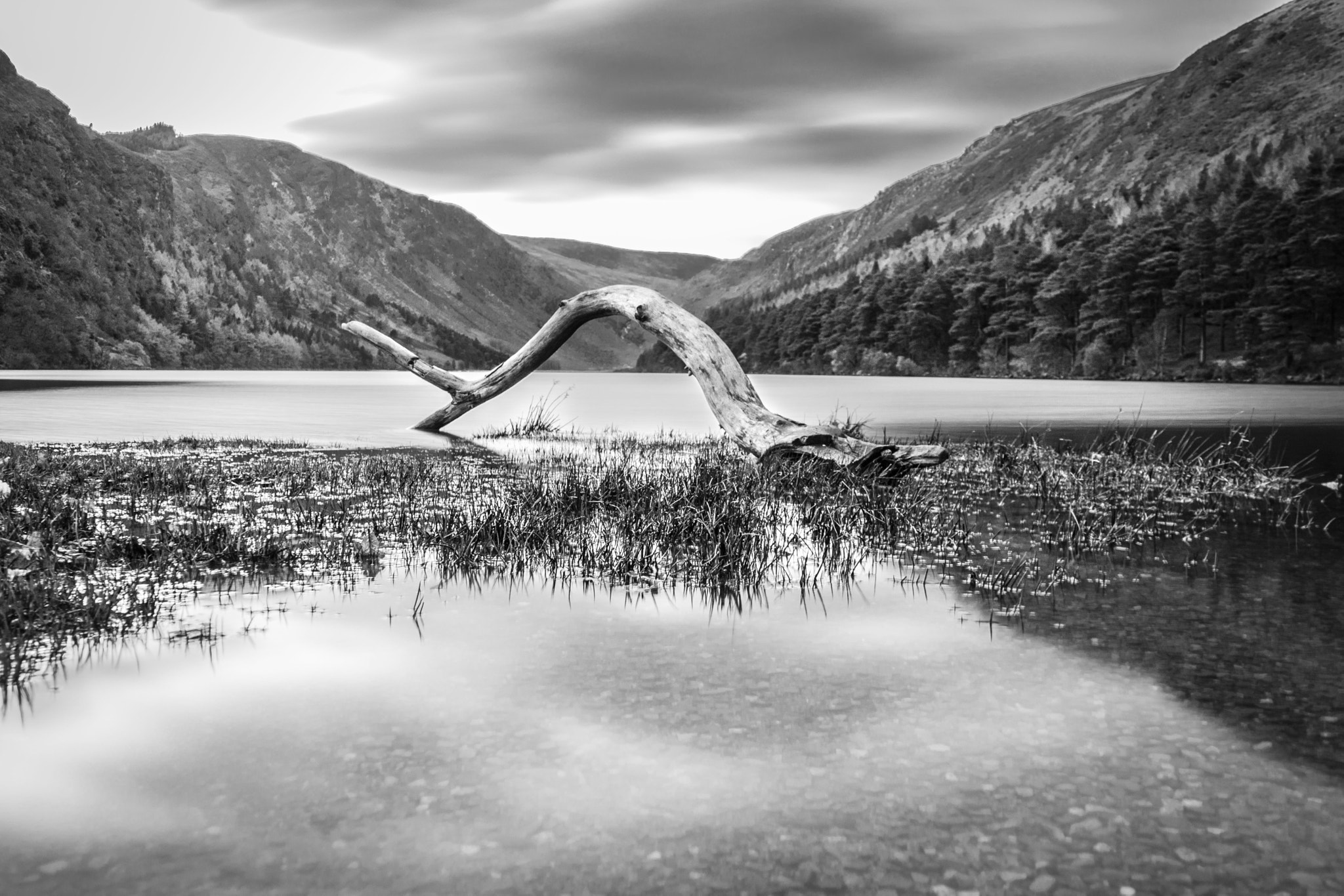 Canon EOS 760D (EOS Rebel T6s / EOS 8000D) sample photo. Glendalough photography