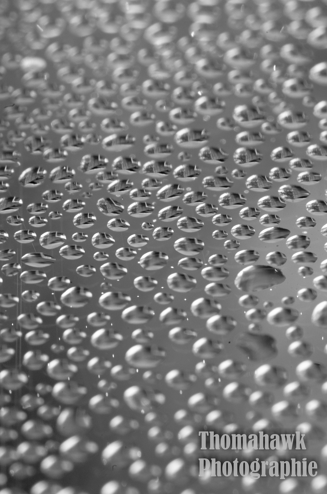 Pentax smc D-FA 100mm F2.8 macro sample photo. Water droplets photography