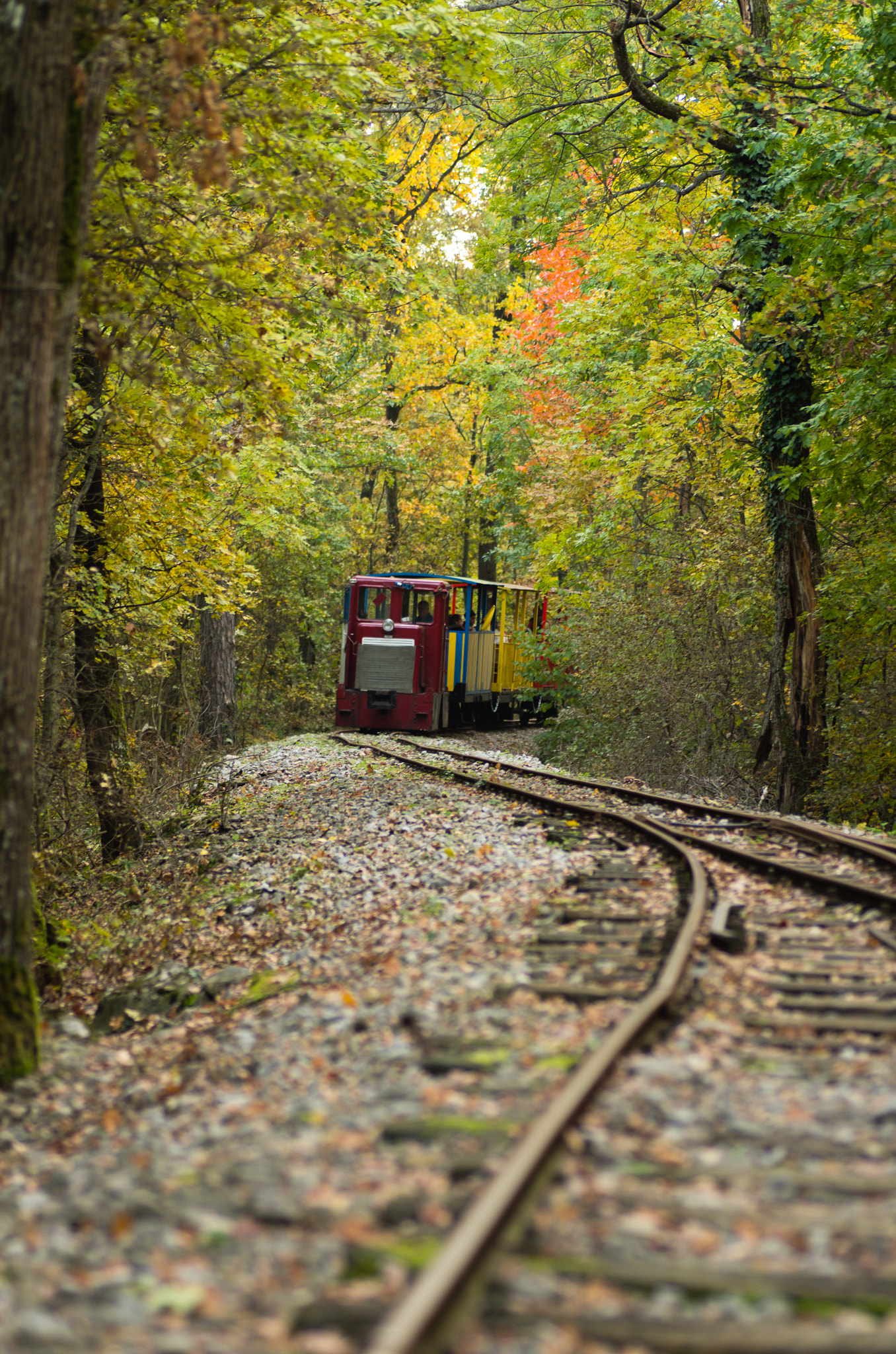Pentax K-30 + Tamron SP AF 90mm F2.8 Di Macro sample photo. Little train photography