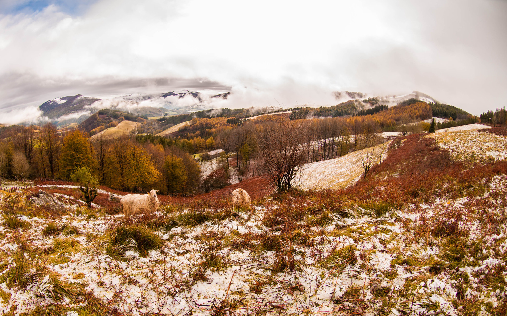 Nikon AF DX Fisheye-Nikkor 10.5mm F2.8G ED sample photo. Koloreak photography