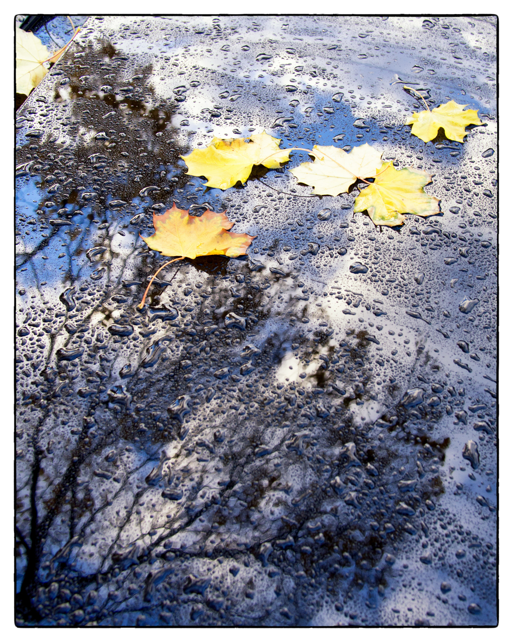 Olympus PEN E-PL5 + Panasonic Lumix G 20mm F1.7 ASPH sample photo. Falling down photography