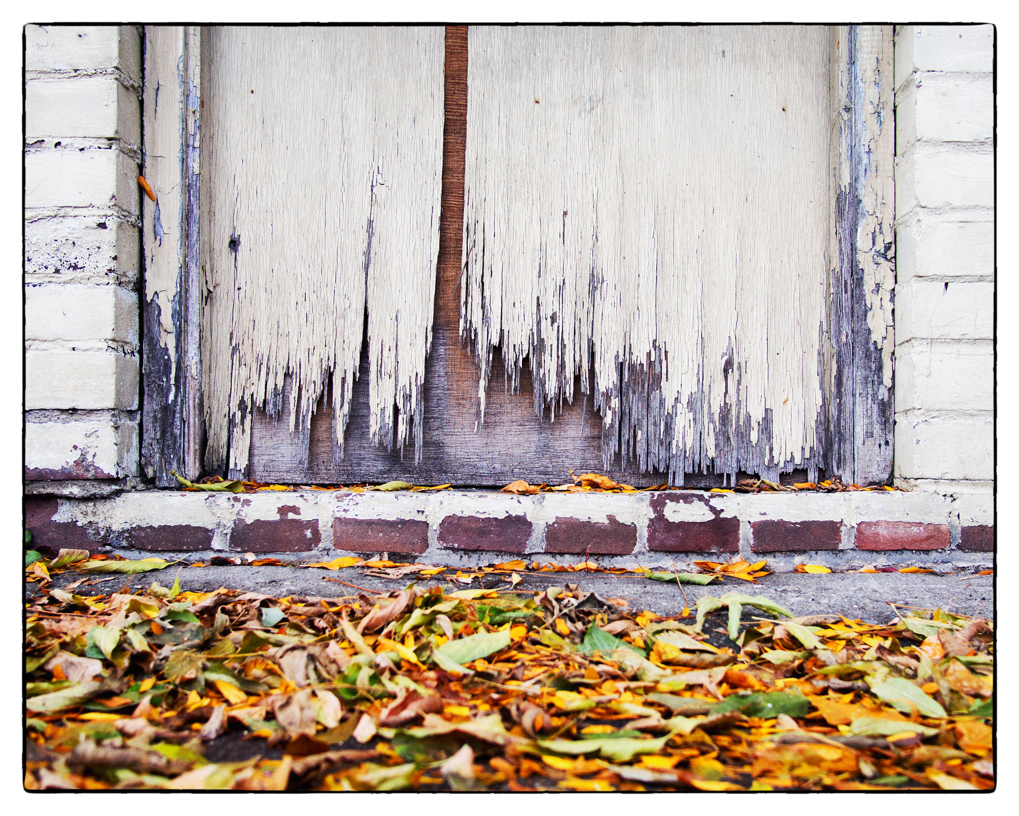 Olympus PEN E-PL5 + Panasonic Lumix G 20mm F1.7 ASPH sample photo. We all fall down photography