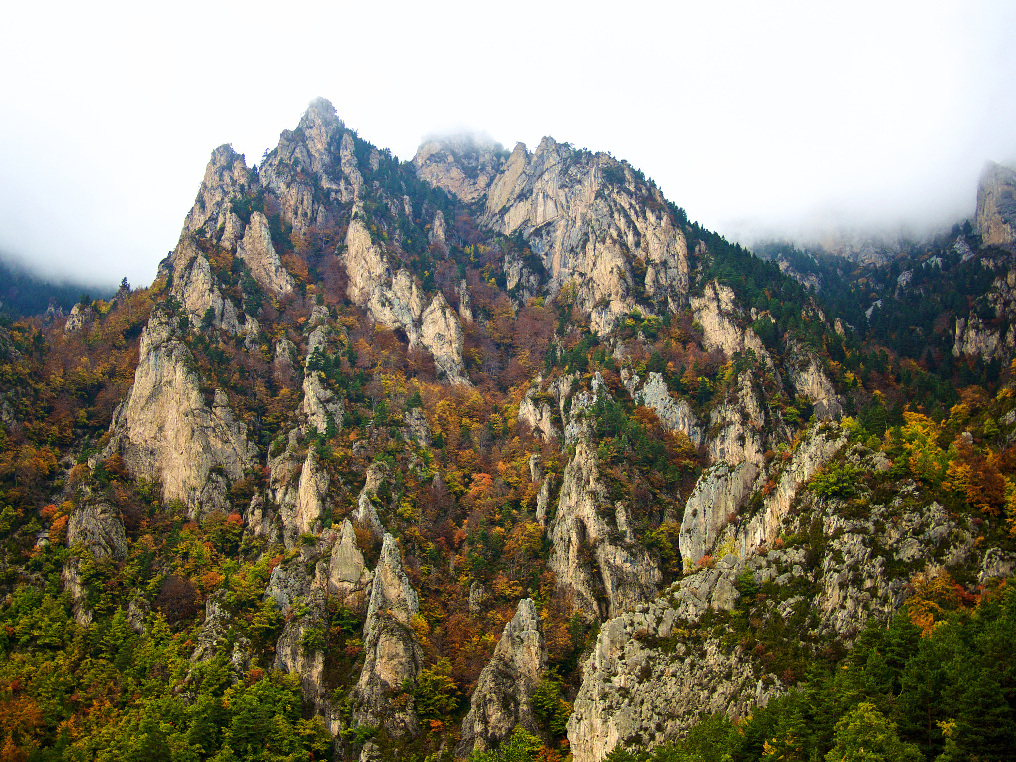Olympus PEN E-PL5 + Panasonic Lumix G 20mm F1.7 ASPH sample photo. Autumn mountain photography