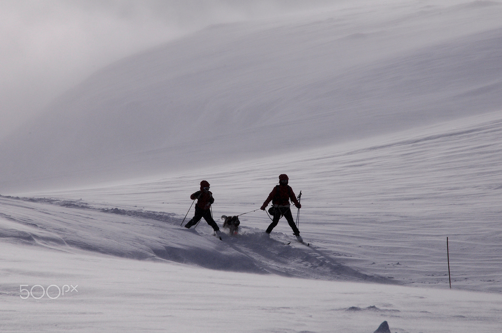 Nikon D300 + Nikon PC-E Nikkor 24mm F3.5D ED Tilt-Shift sample photo. High mountain skiing photography