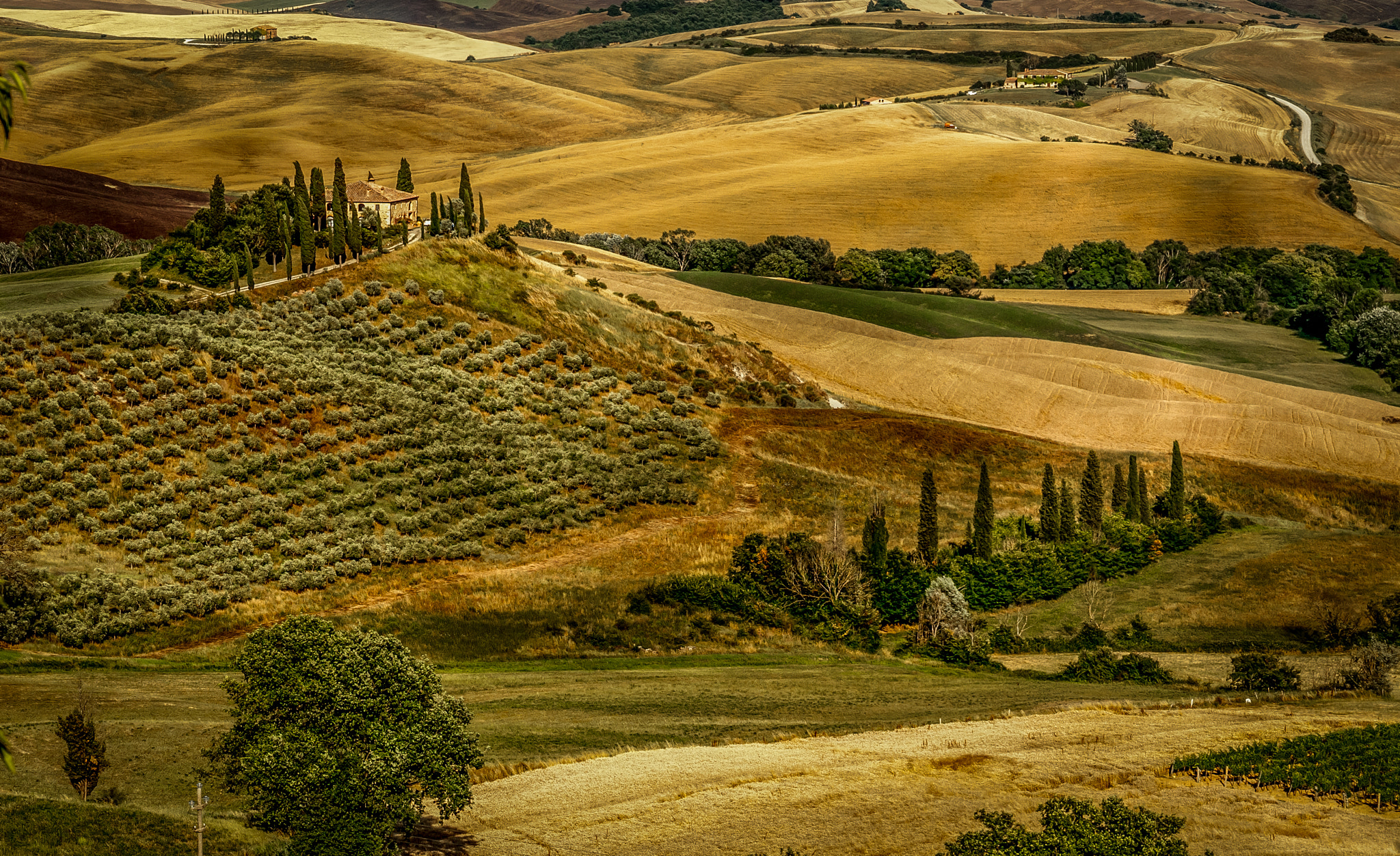 Sigma 17-70mm F2.8-4 DC Macro OS HSM | C sample photo. Tuscany photography