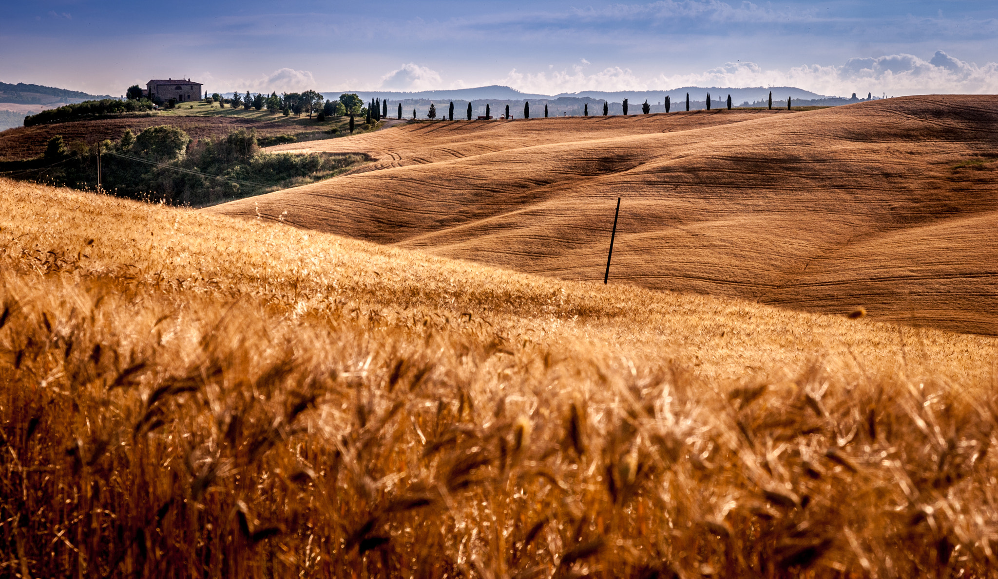 Sigma 17-70mm F2.8-4 DC Macro OS HSM | C sample photo. Pienza photography