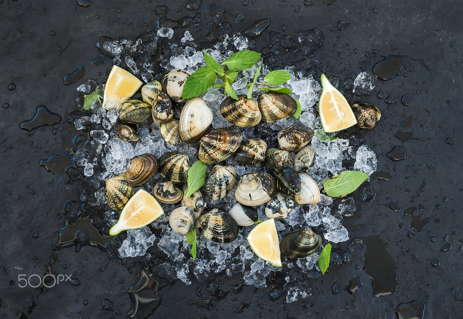 Nikon D610 + ZEISS Distagon T* 35mm F2 sample photo. Fresh uncooked clams with lemon, herbs and spices on chipped ice over dark slate stone backdrop photography
