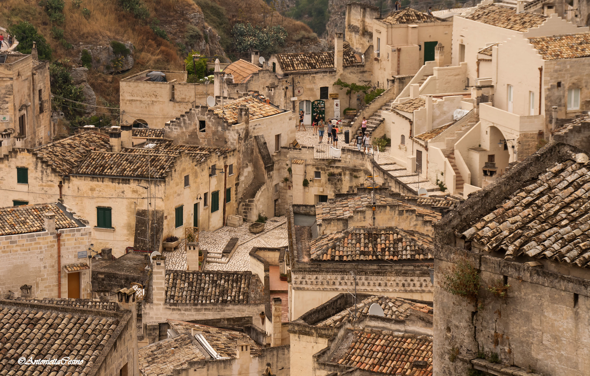 Sigma 18-250mm F3.5-6.3 DC OS HSM sample photo. Matera photography