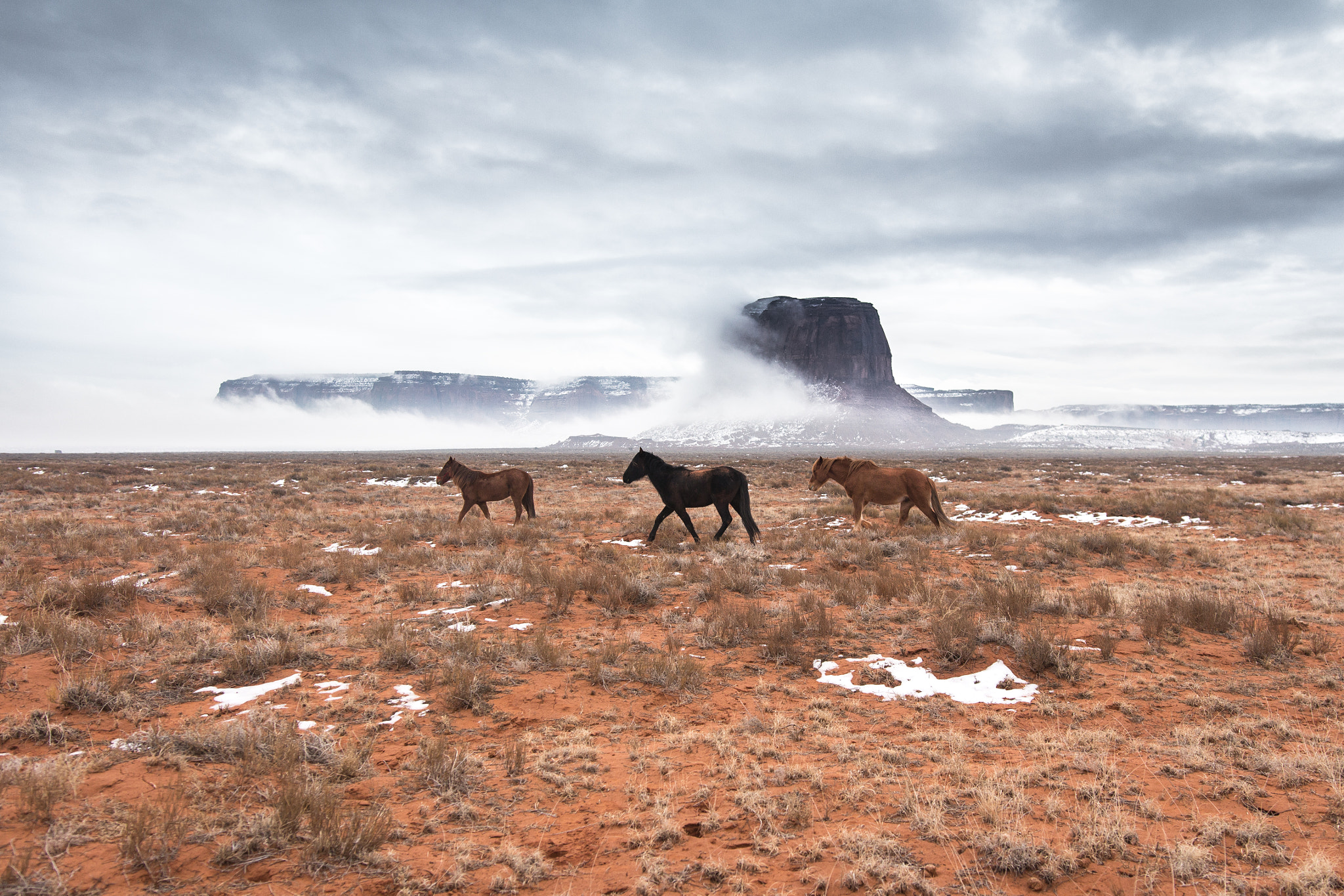 Sigma 18-35mm f/1.8 DC HSM sample photo. Horses in monument valley photography