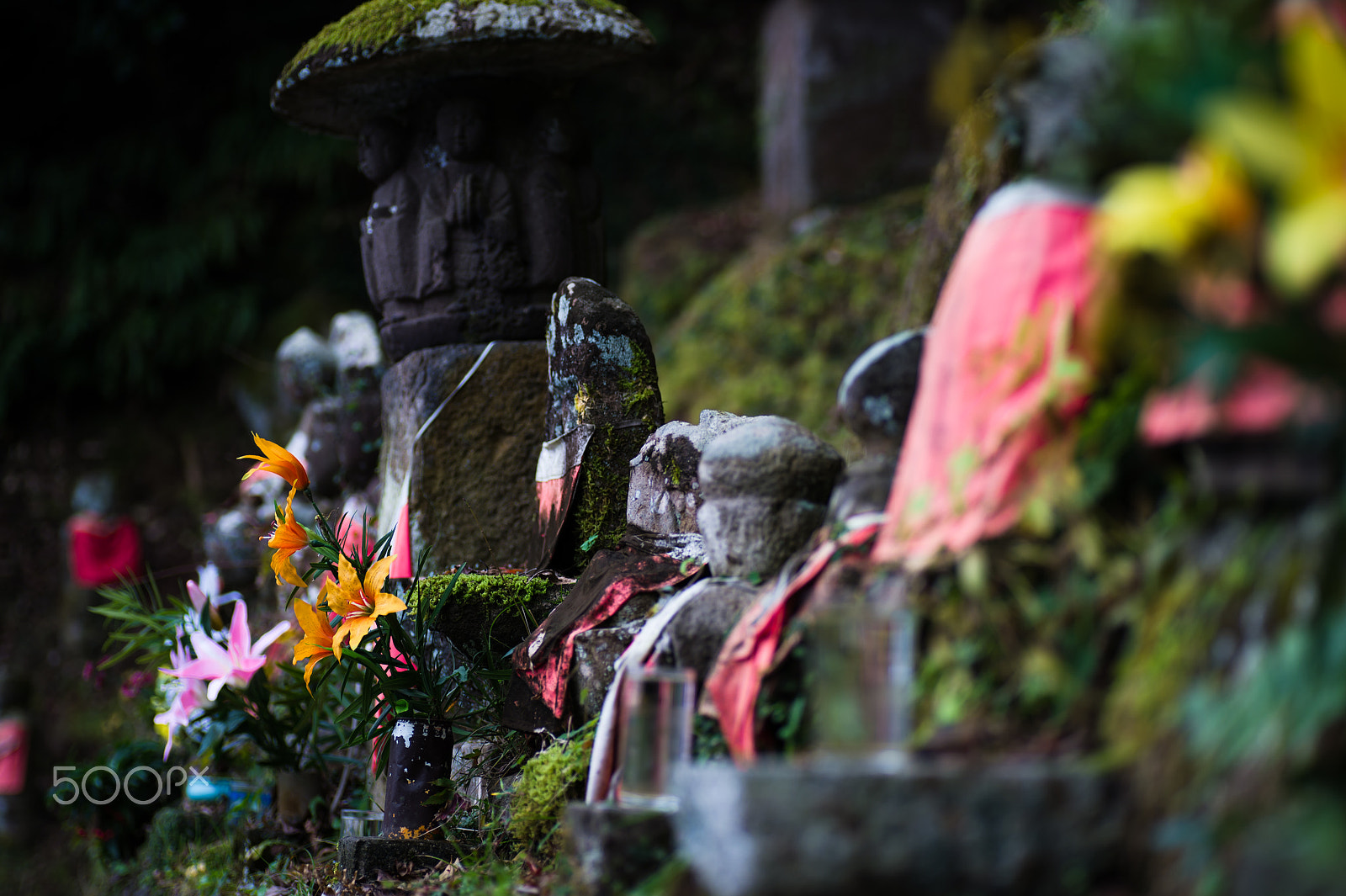 Nikon Df sample photo. Jizo photography