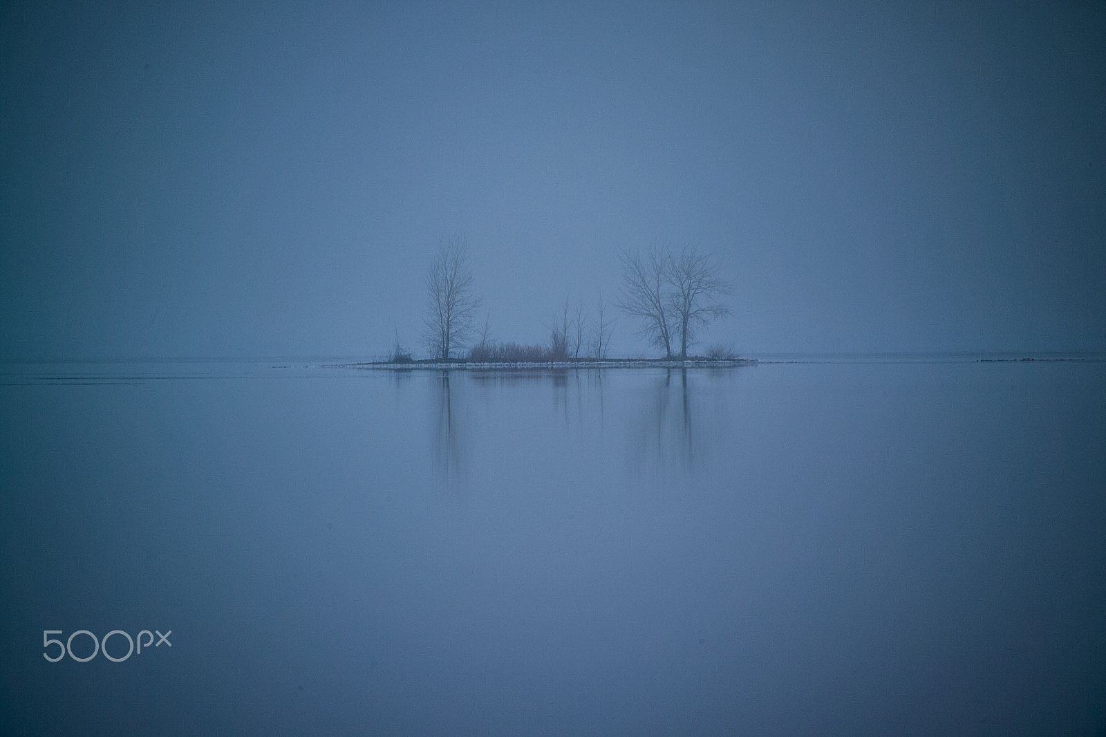 Kodak DCS Pro SLR/n sample photo. Fog photography