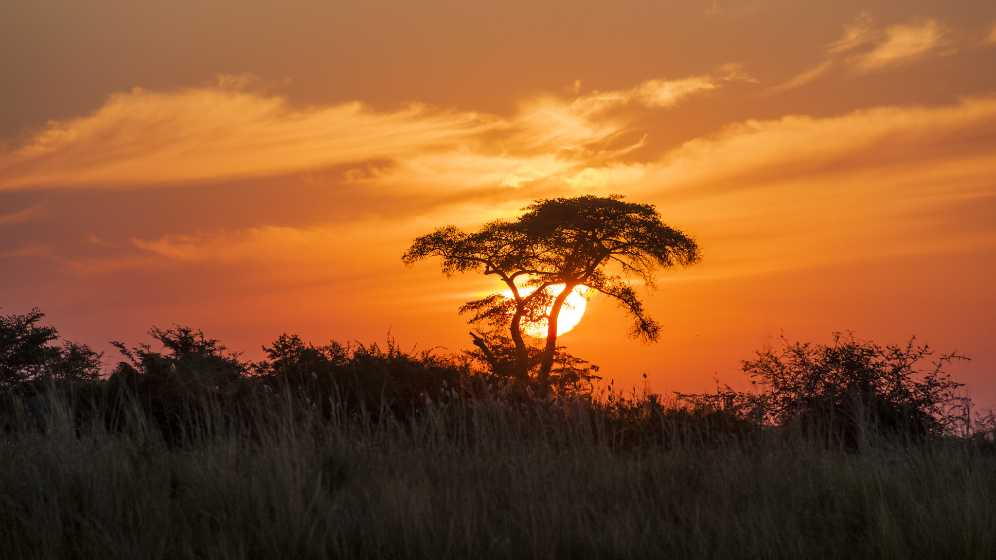 Minolta AF 300mm F4 HS-APO G sample photo. Sunset on the chobe river photography