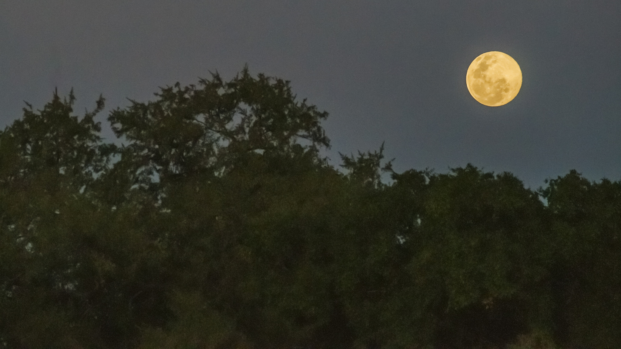 Minolta AF 300mm F4 HS-APO G sample photo. Moonrise, chobe river photography