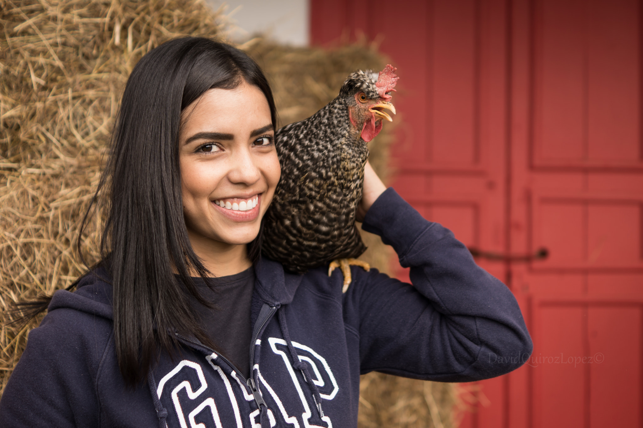 Sony ILCA-77M2 + Sony DT 35mm F1.8 SAM sample photo. Chicken camp photography