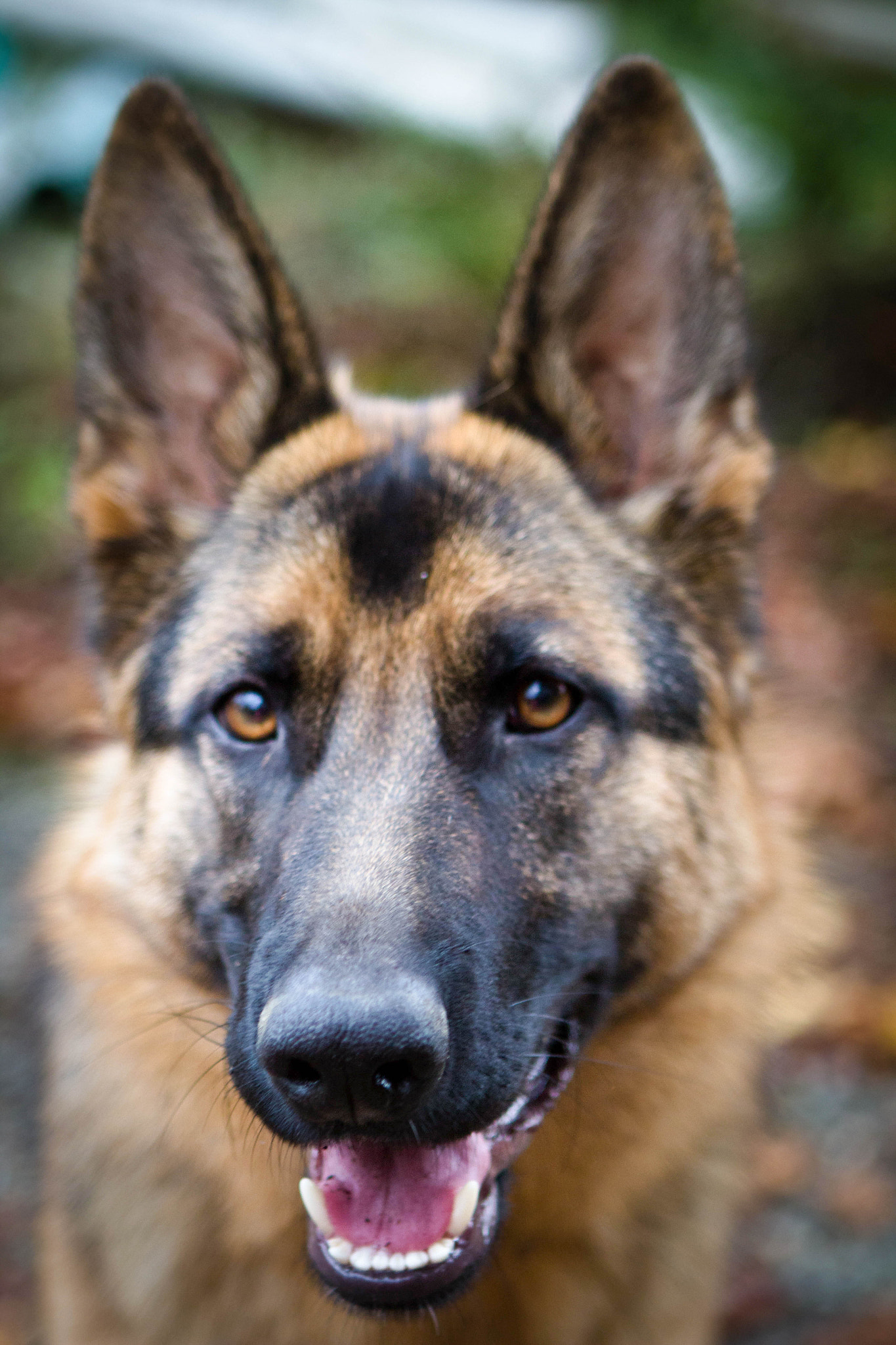 Canon EF 24-70mm F2.8L USM sample photo. Ally photography