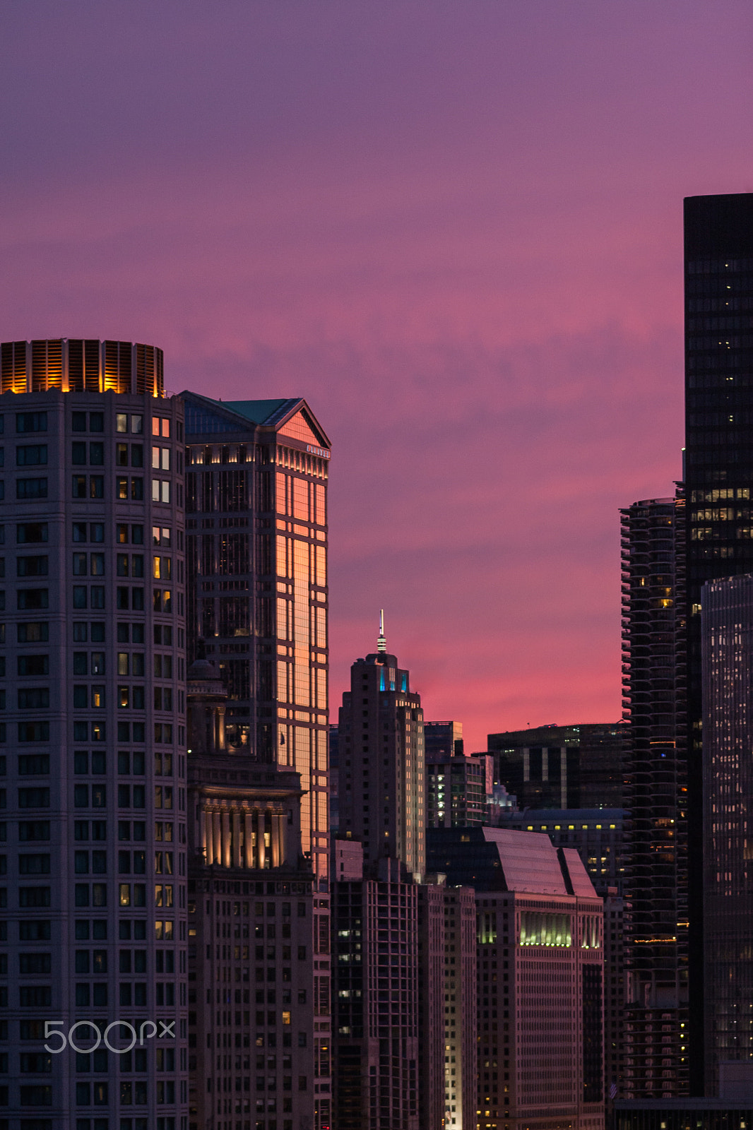 Canon EOS 40D + Sigma 105mm F2.8 EX DG Macro sample photo. Chicago sunset photography